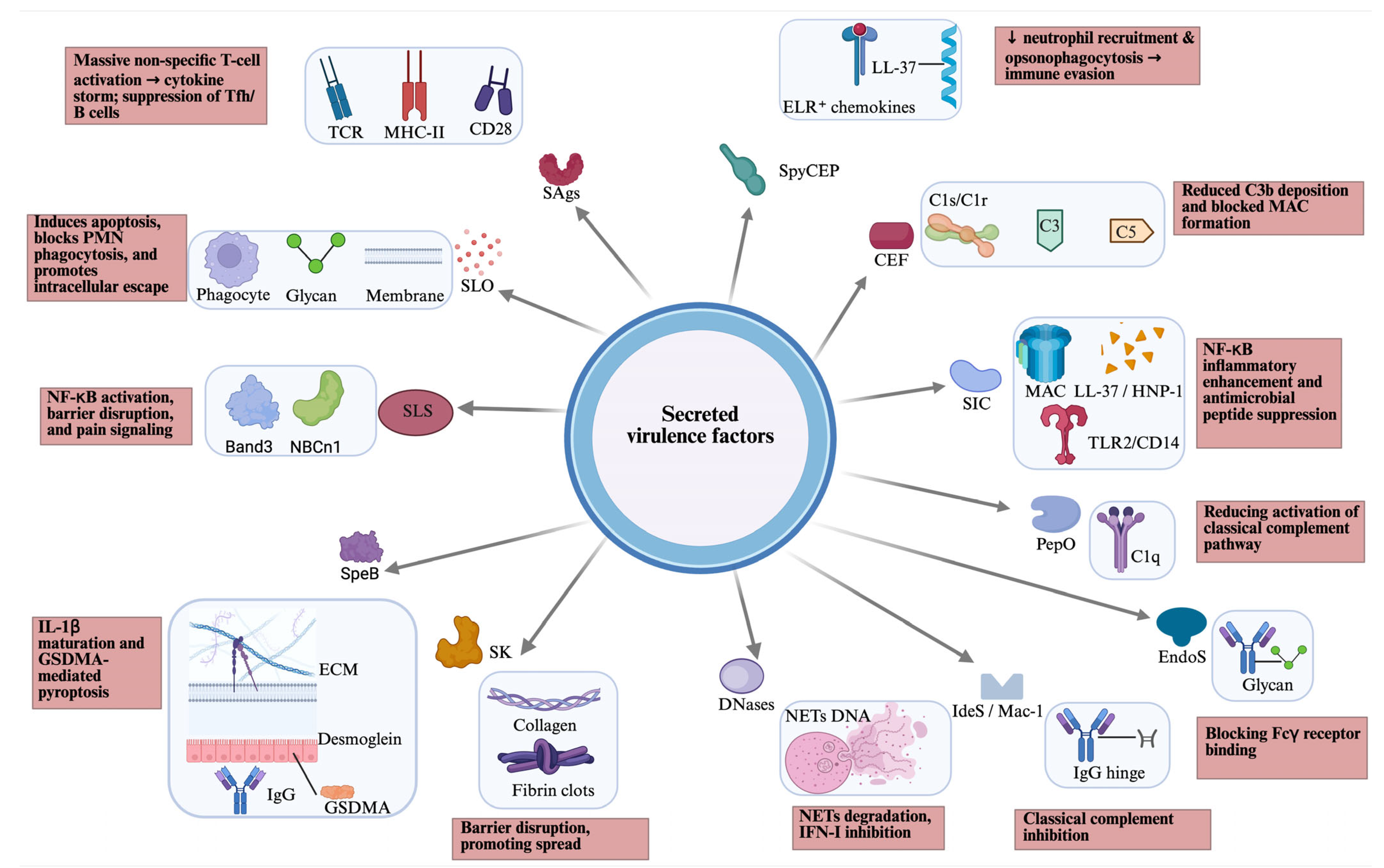 Microorganisms 14 00357 g001