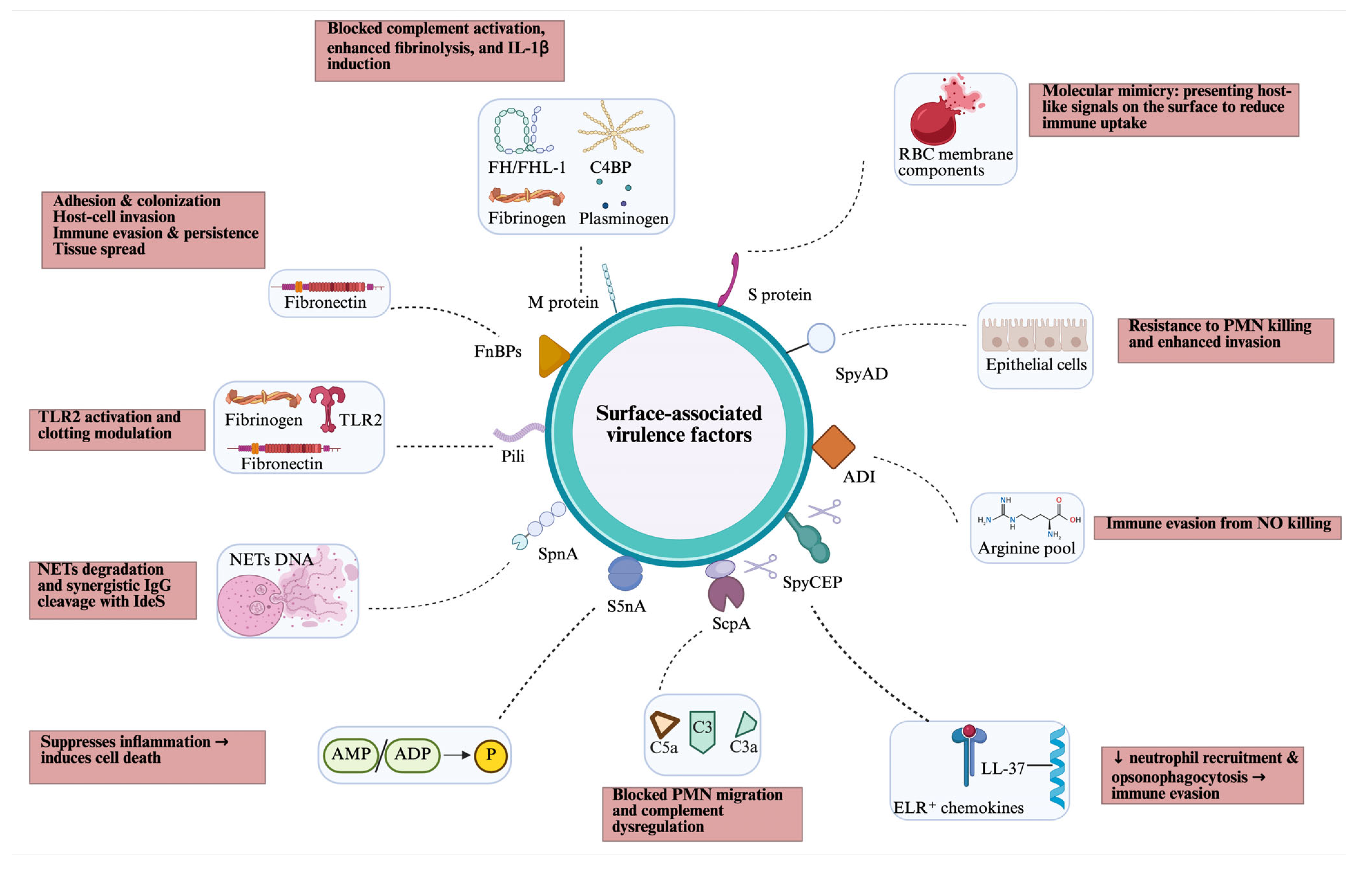 Microorganisms 14 00357 g002