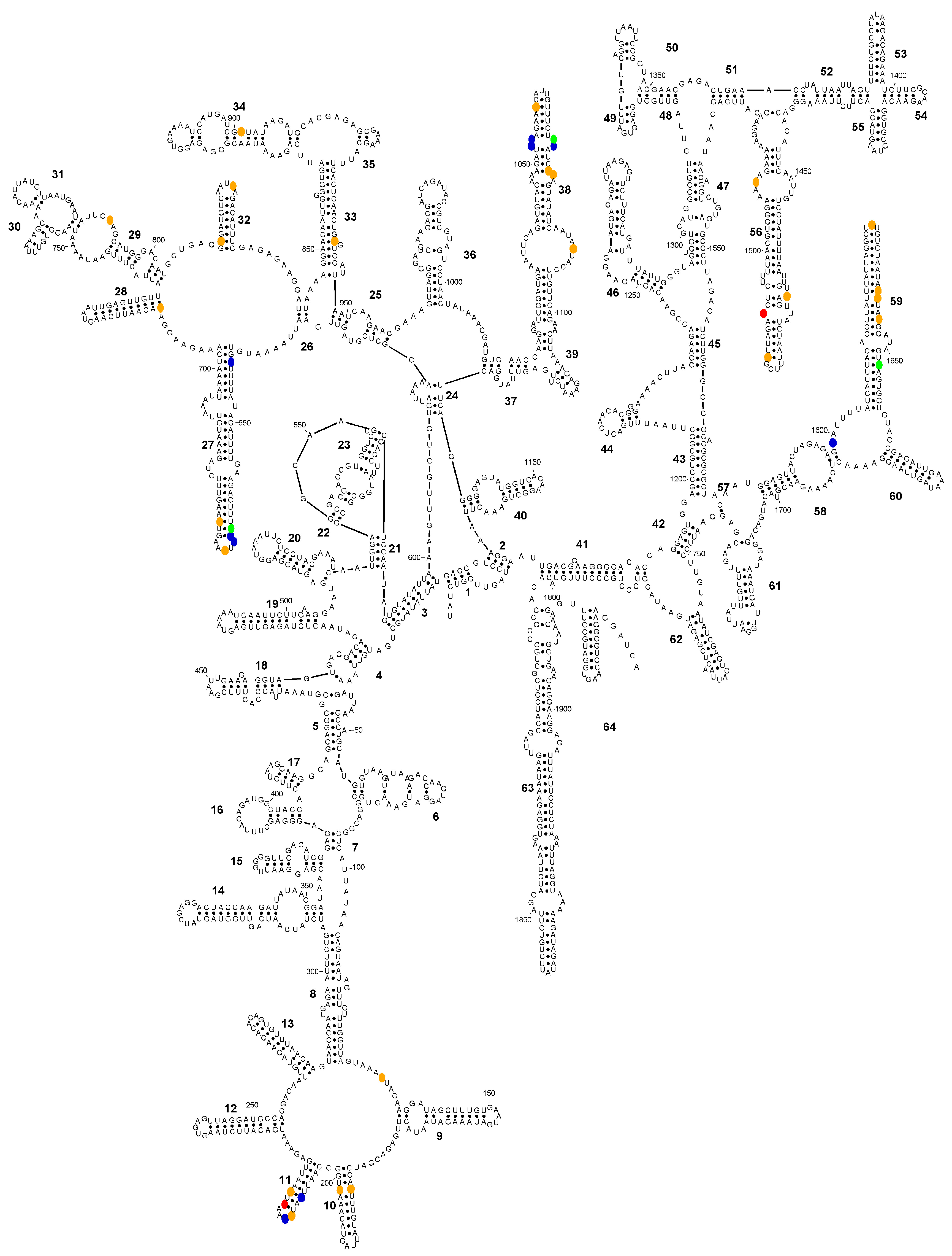 Microorganisms 14 00360 g003 Microorganisms 14 00360 g003