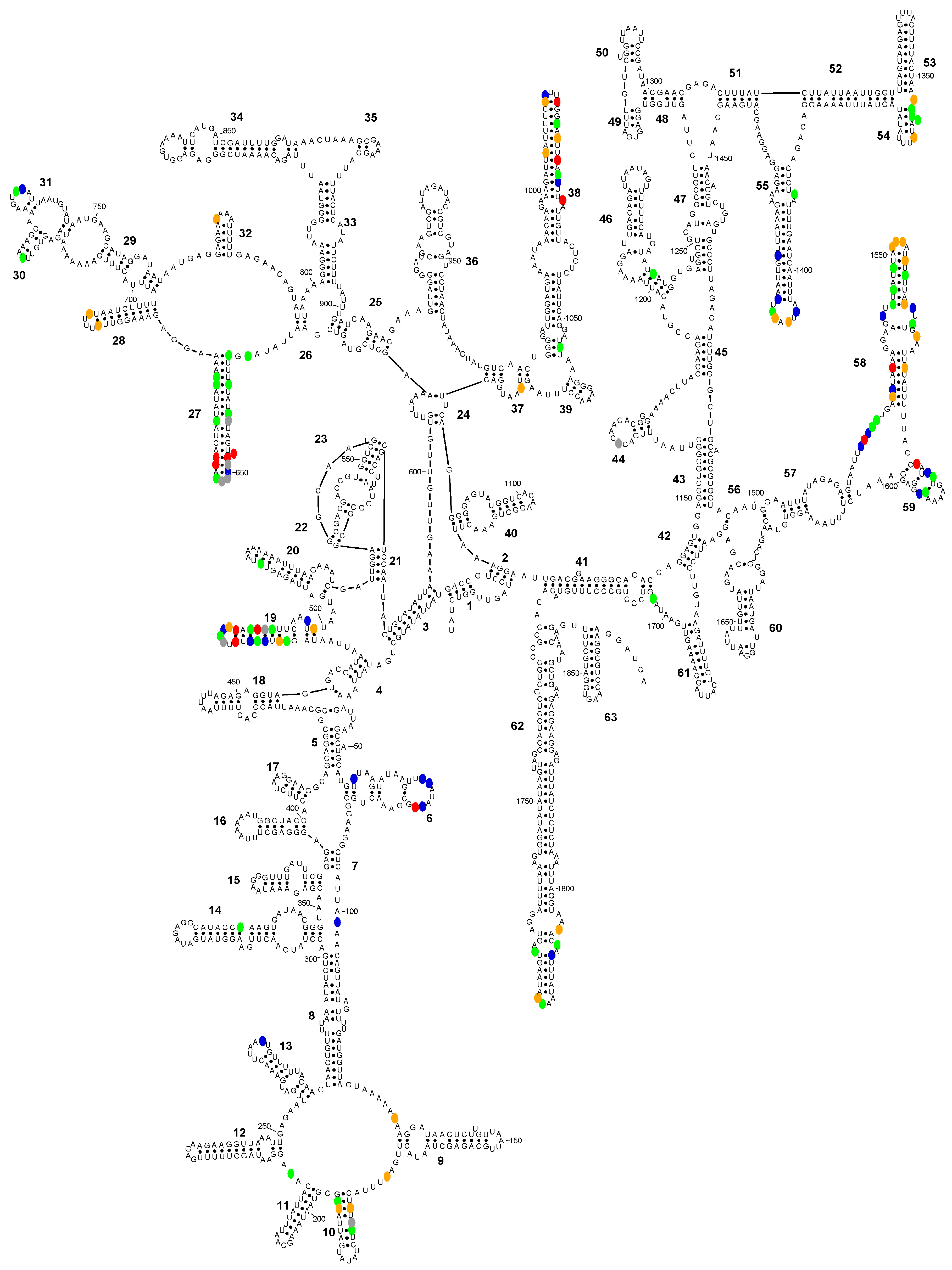 Microorganisms 14 00360 g004 Microorganisms 14 00360 g004