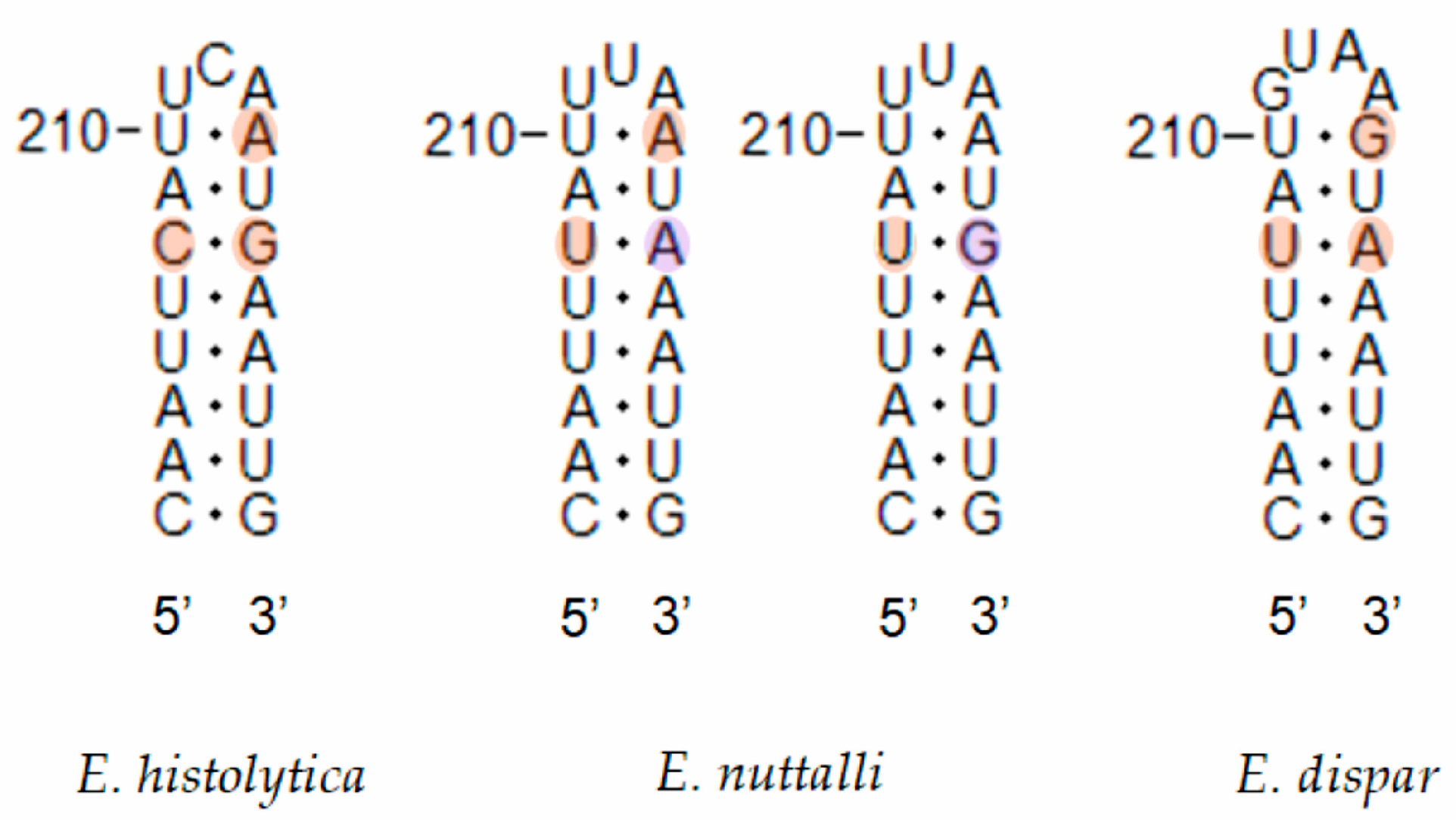 Microorganisms 14 00360 g006 Microorganisms 14 00360 g006