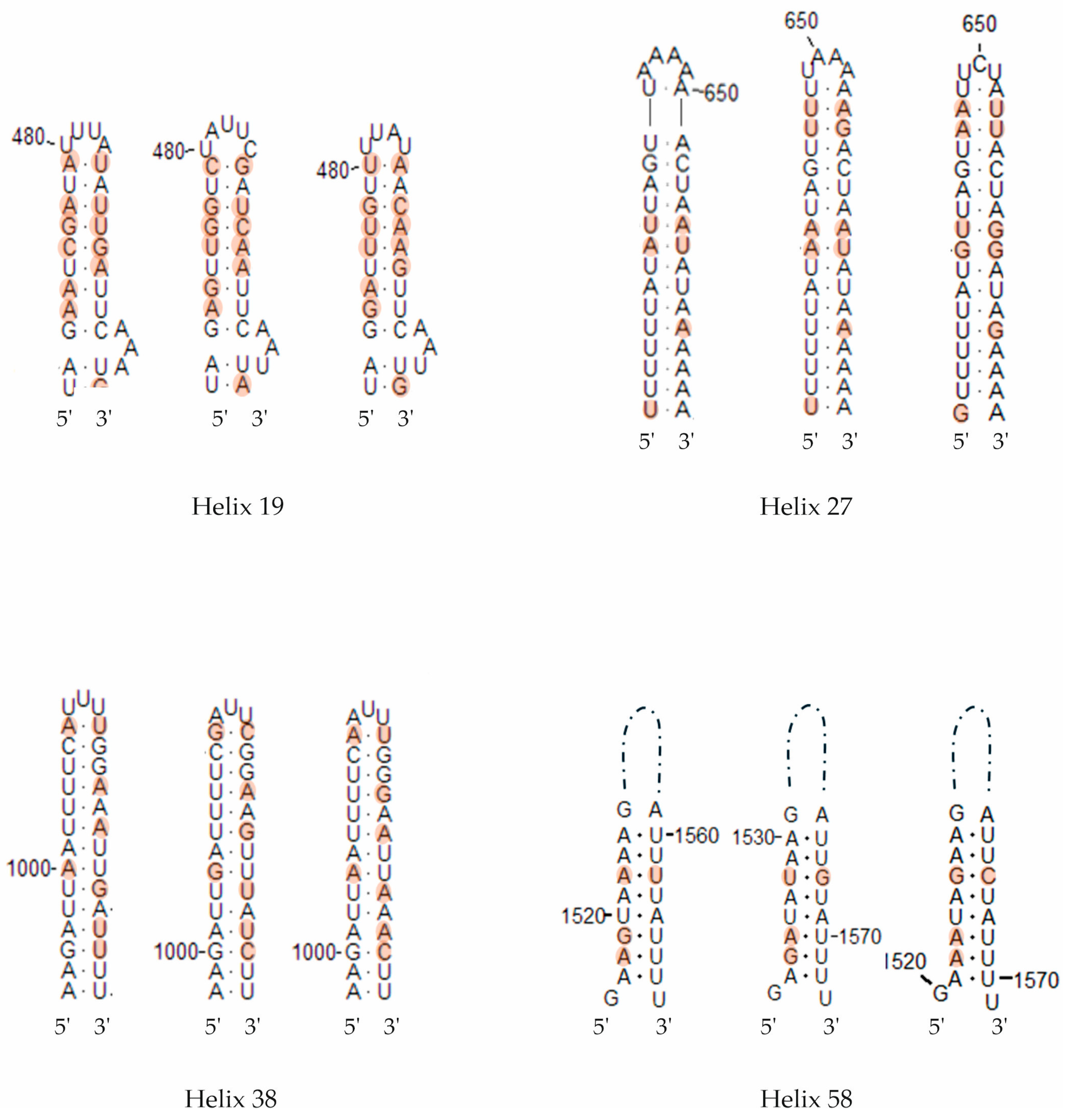 Microorganisms 14 00360 g008 Microorganisms 14 00360 g008