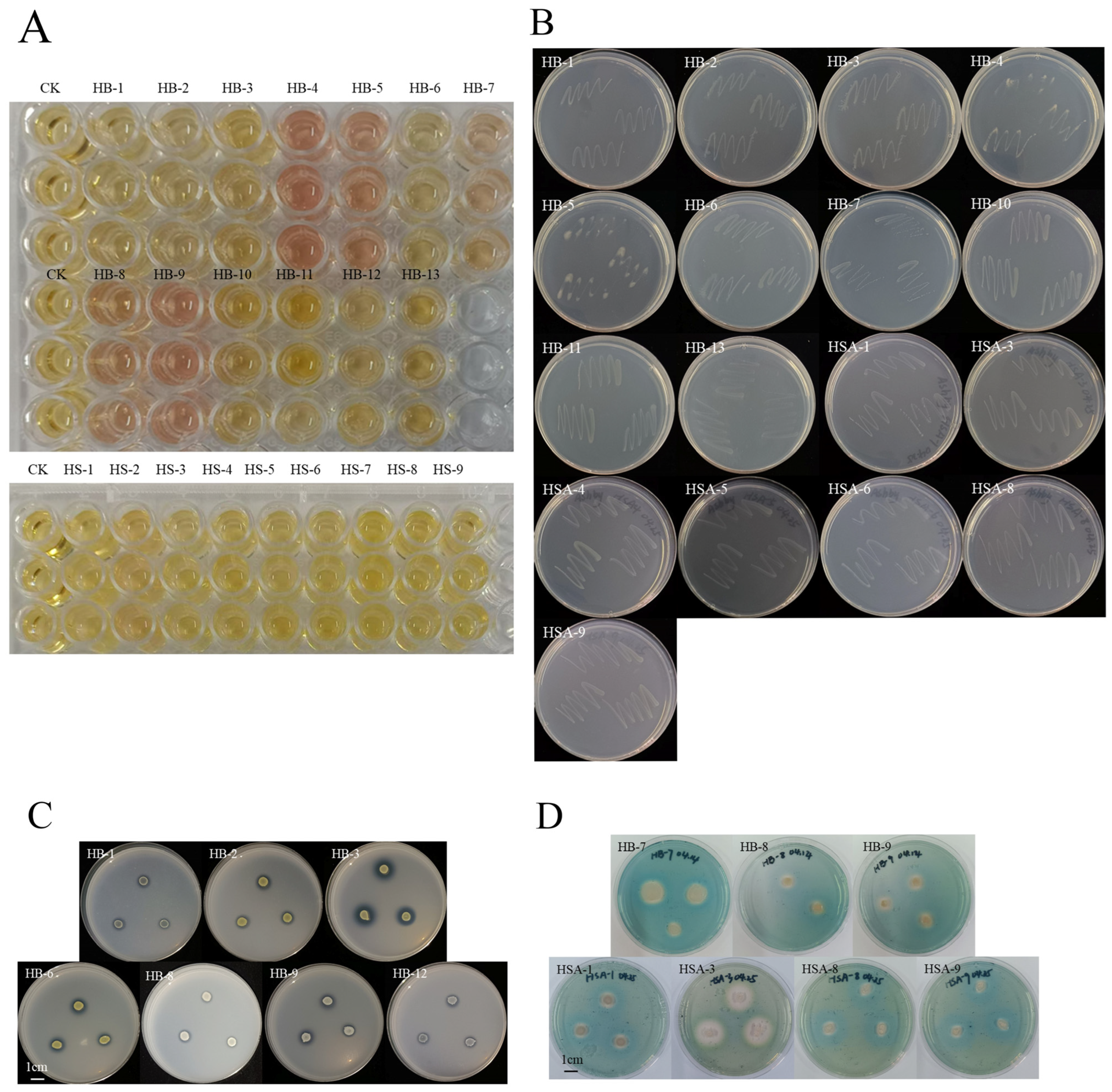 Microorganisms 14 00363 g003 Microorganisms 14 00363 g003