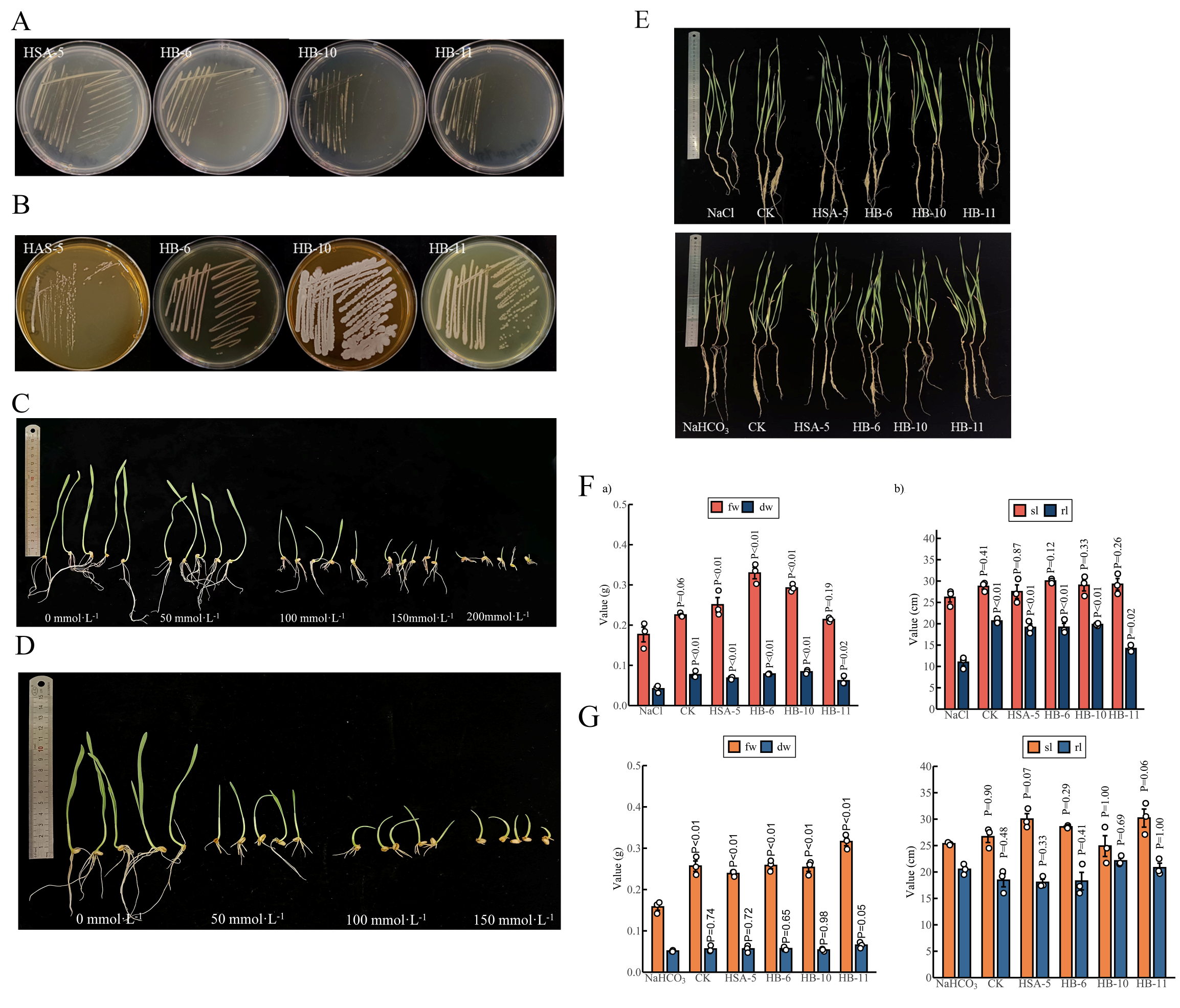 Microorganisms 14 00363 g005 Microorganisms 14 00363 g005