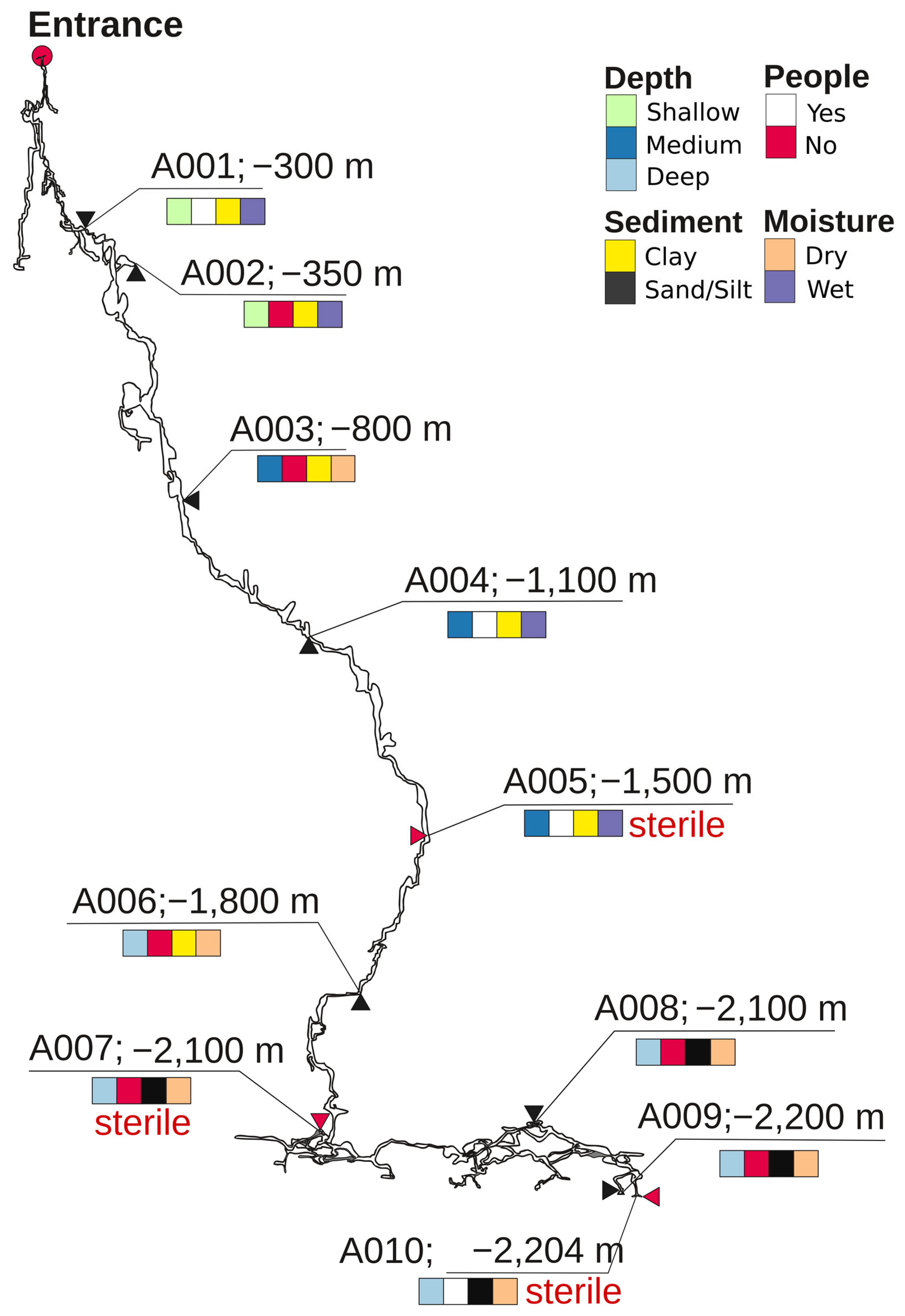Microorganisms 14 00368 g001