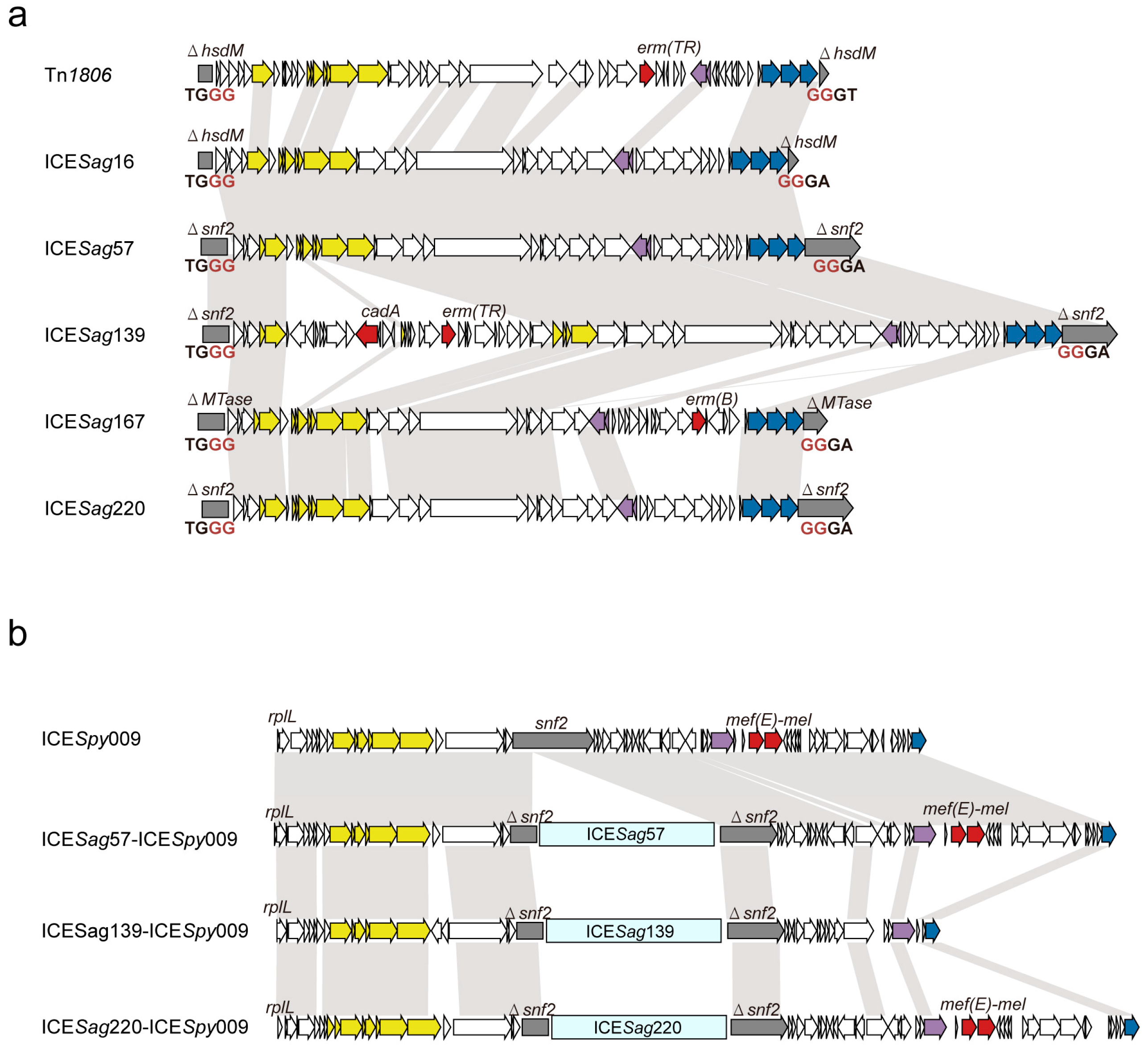 Microorganisms 14 00375 g001