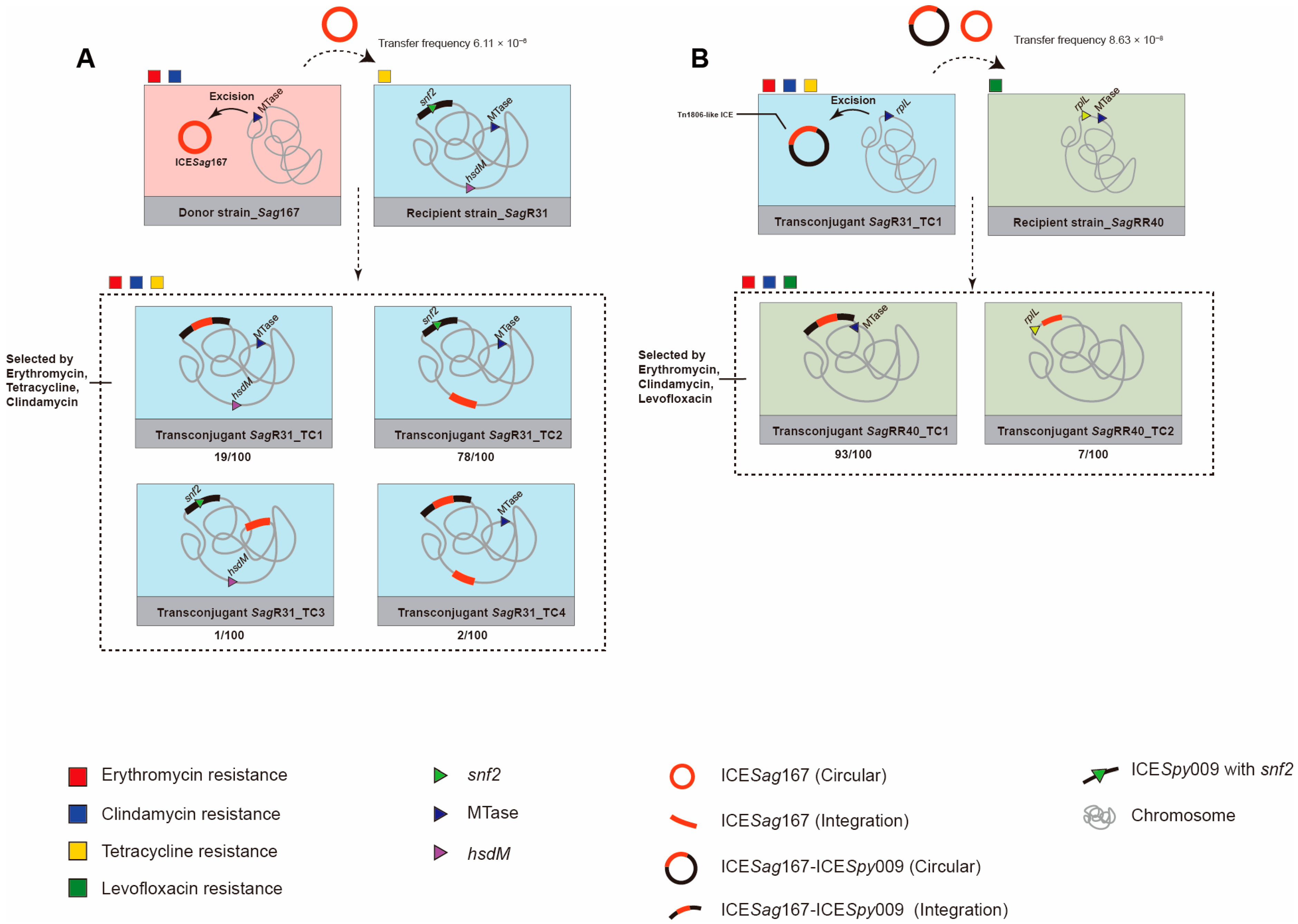 Microorganisms 14 00375 g002