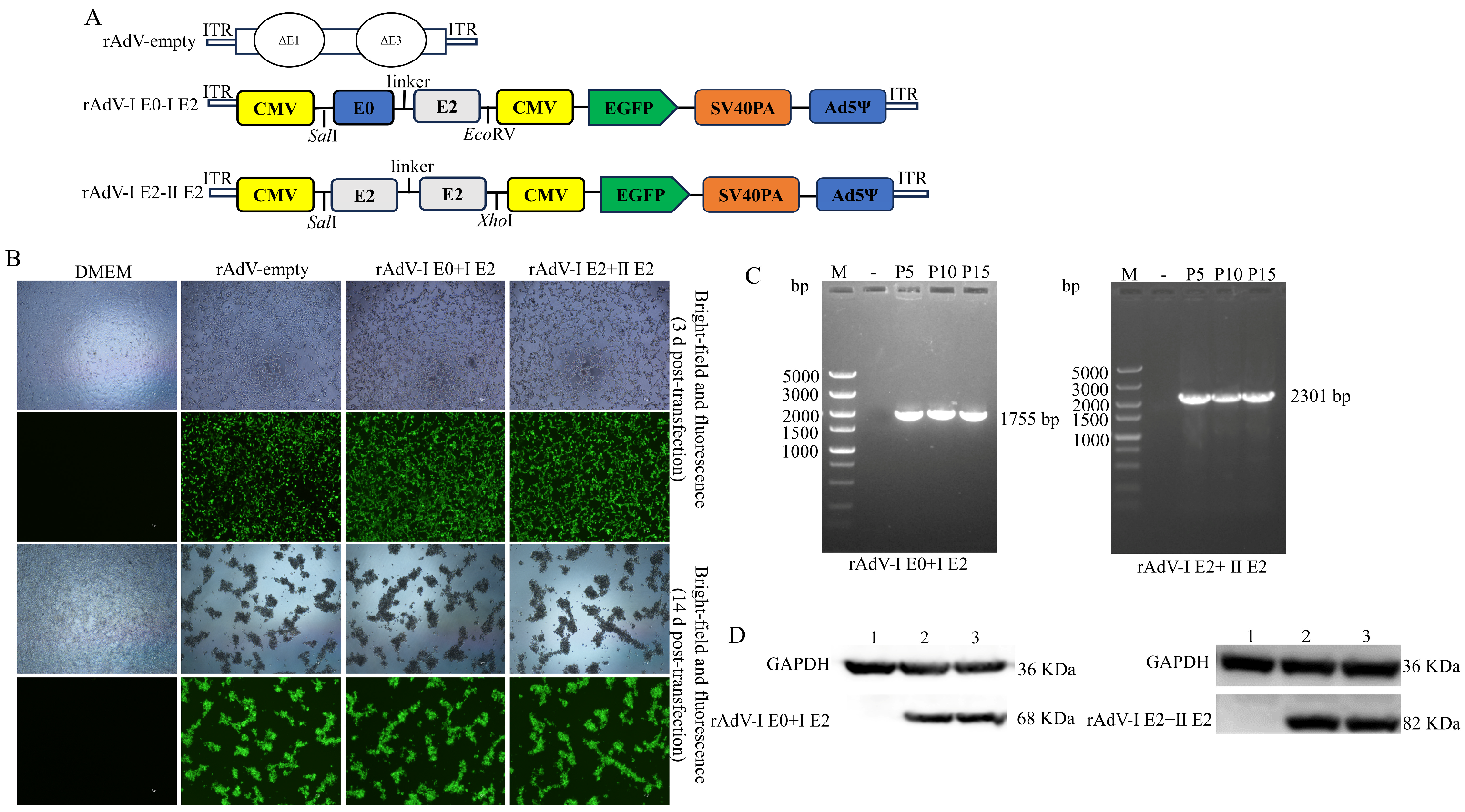 Microorganisms 14 00378 g002