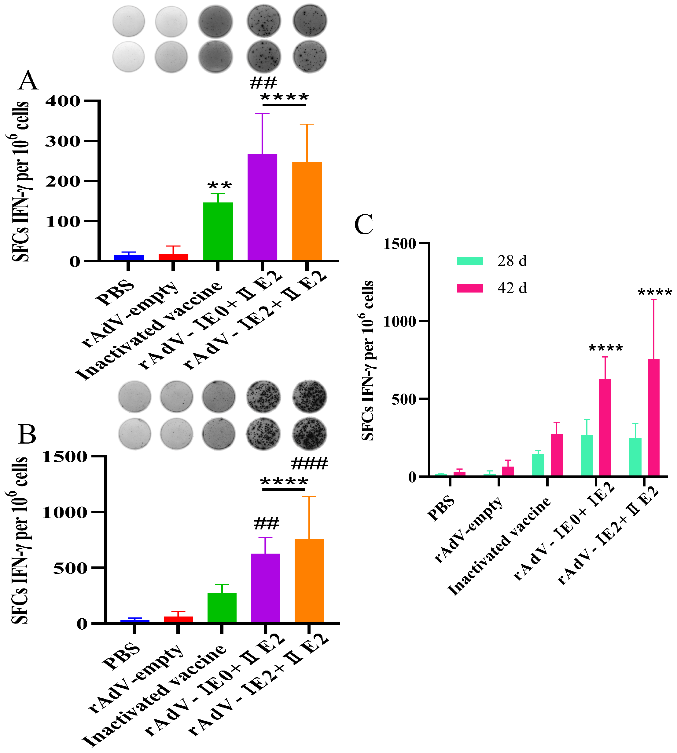 Microorganisms 14 00378 g003