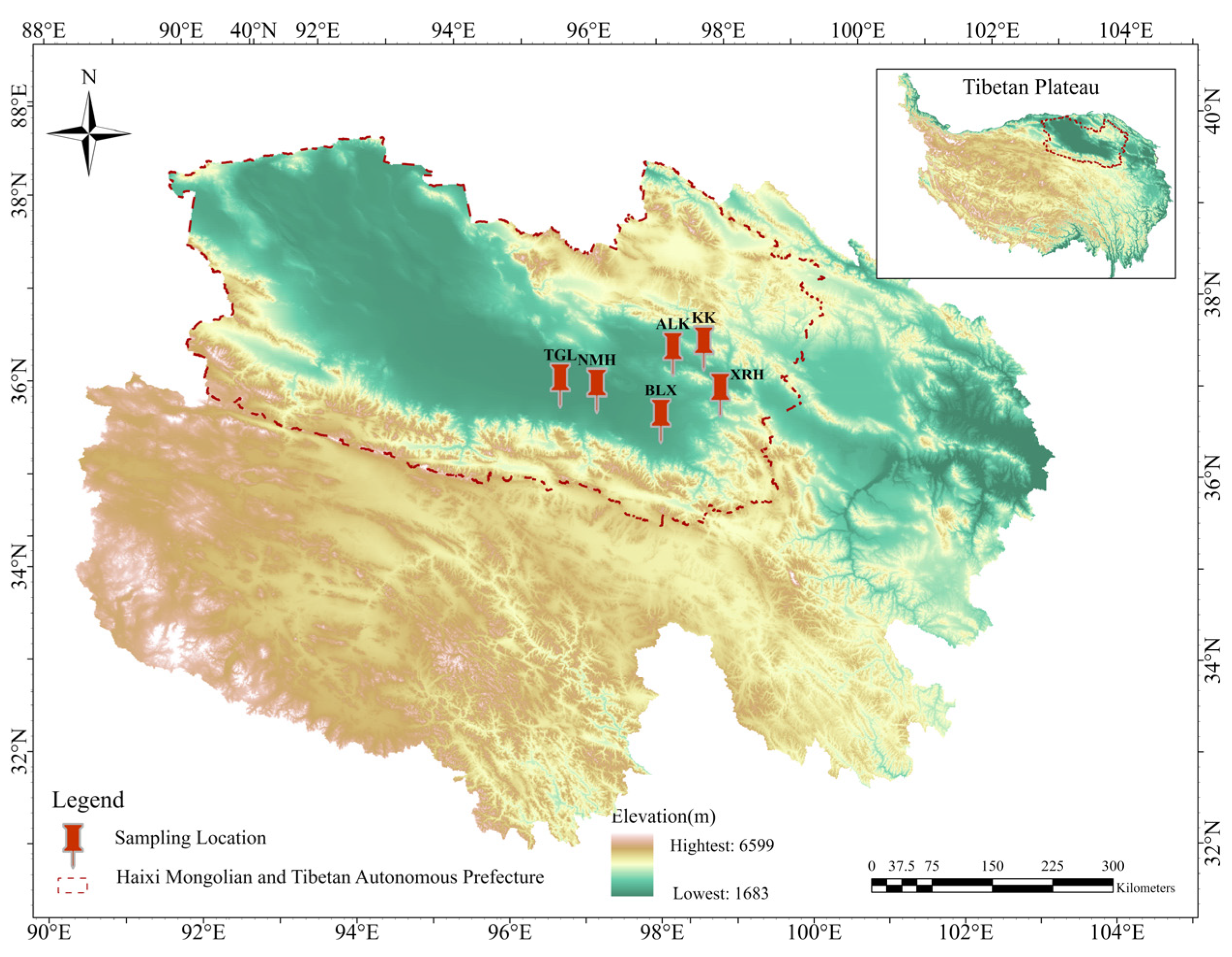 Microorganisms 14 00391 g001