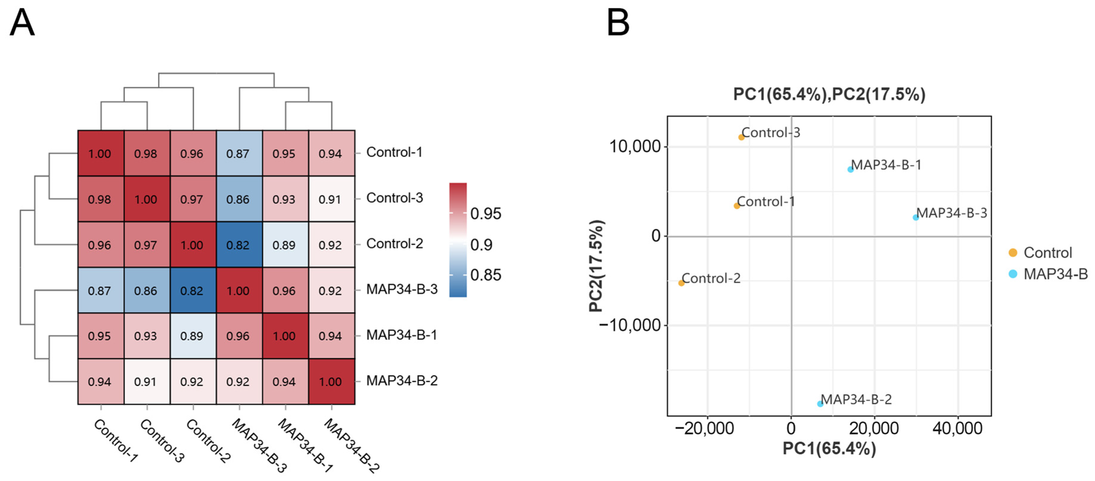Microorganisms 14 00458 g001