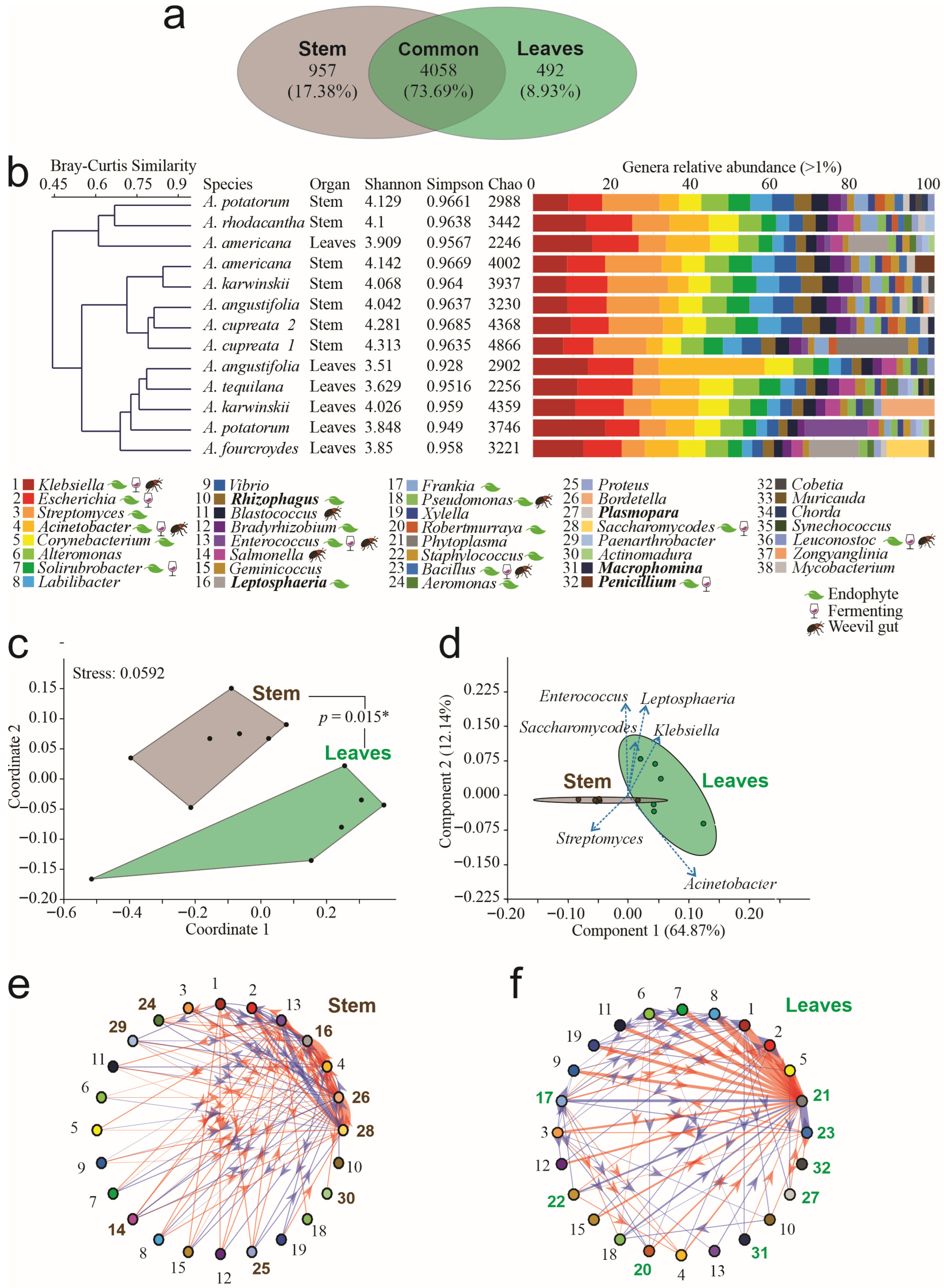 Microorganisms 14 00476 g001 Microorganisms 14 00476 g001