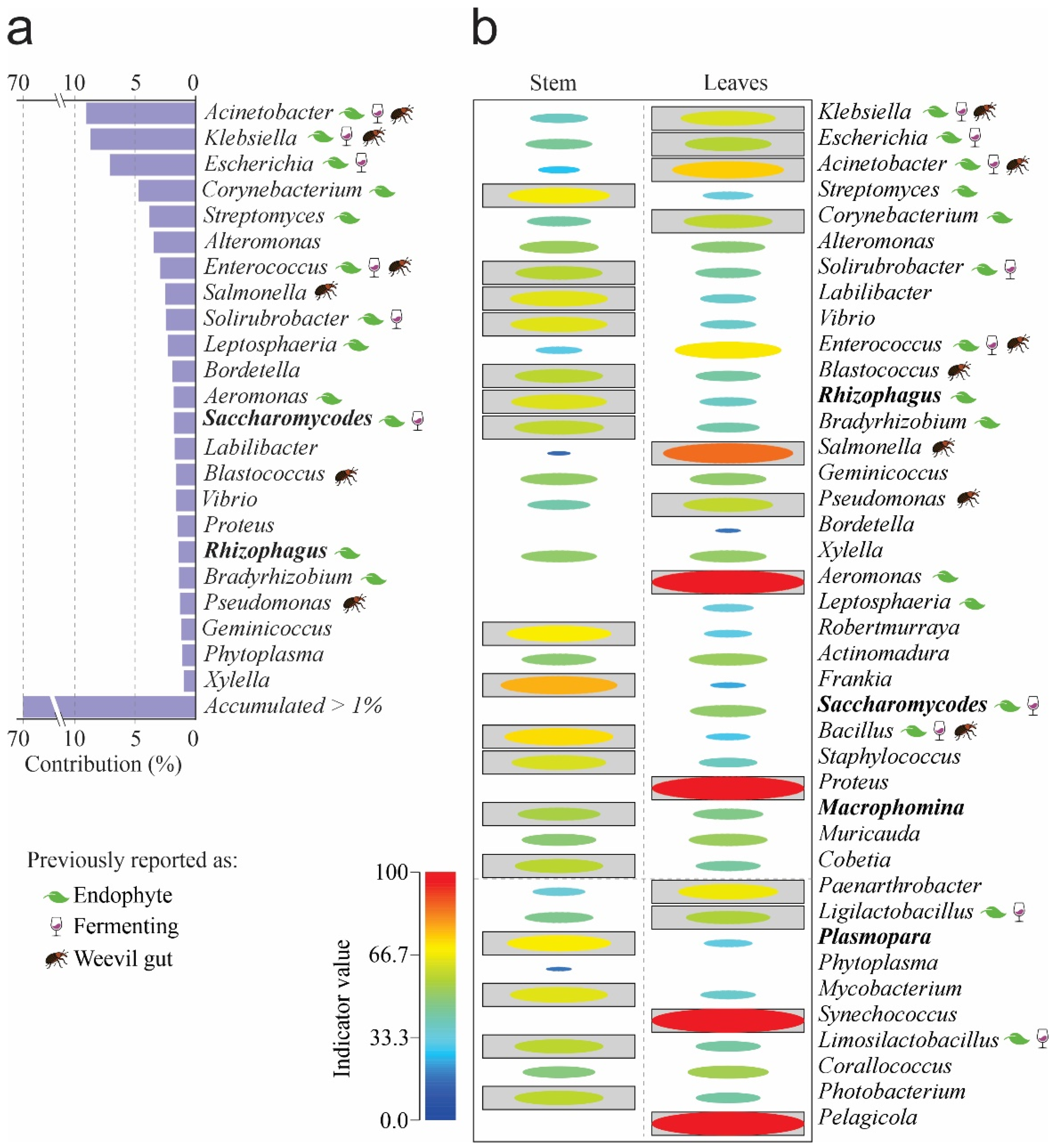 Microorganisms 14 00476 g002 Microorganisms 14 00476 g002