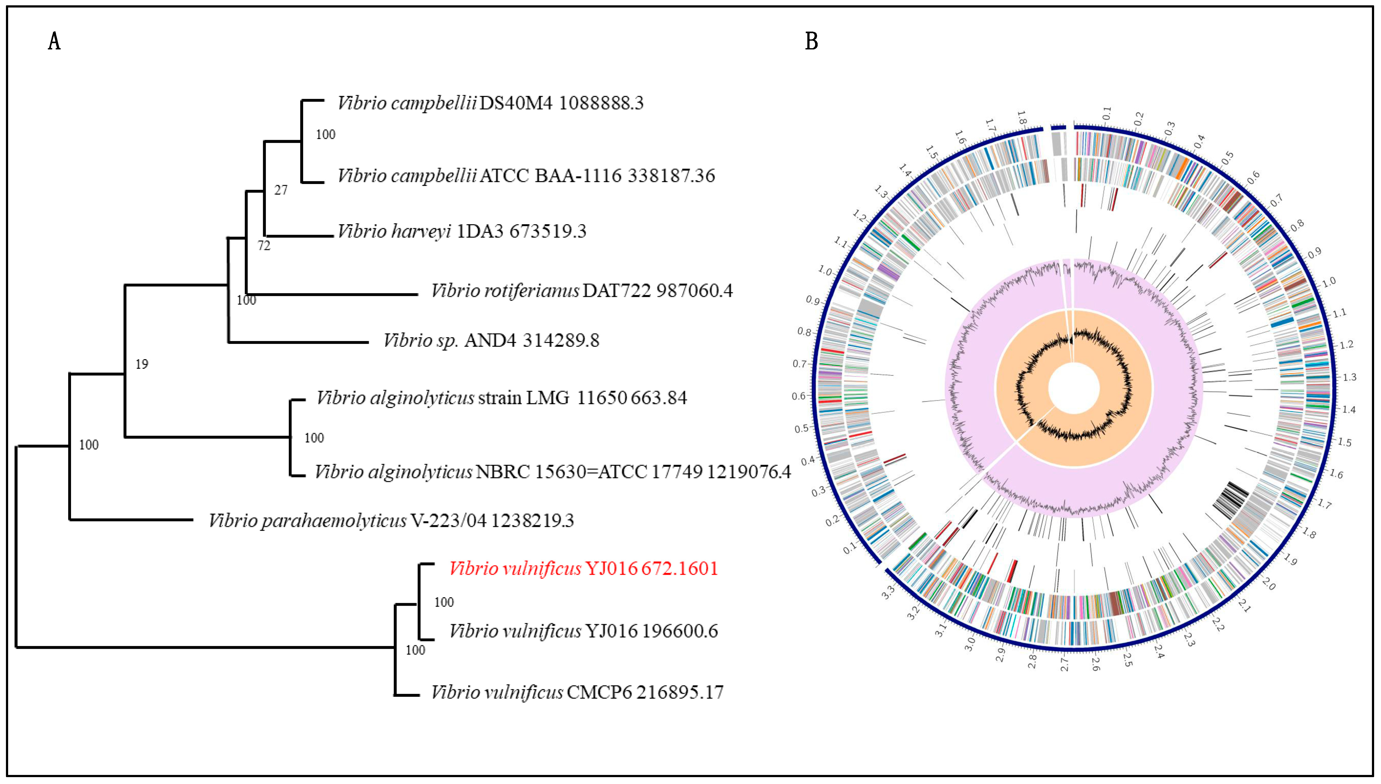 Microorganisms 14 00496 g002
