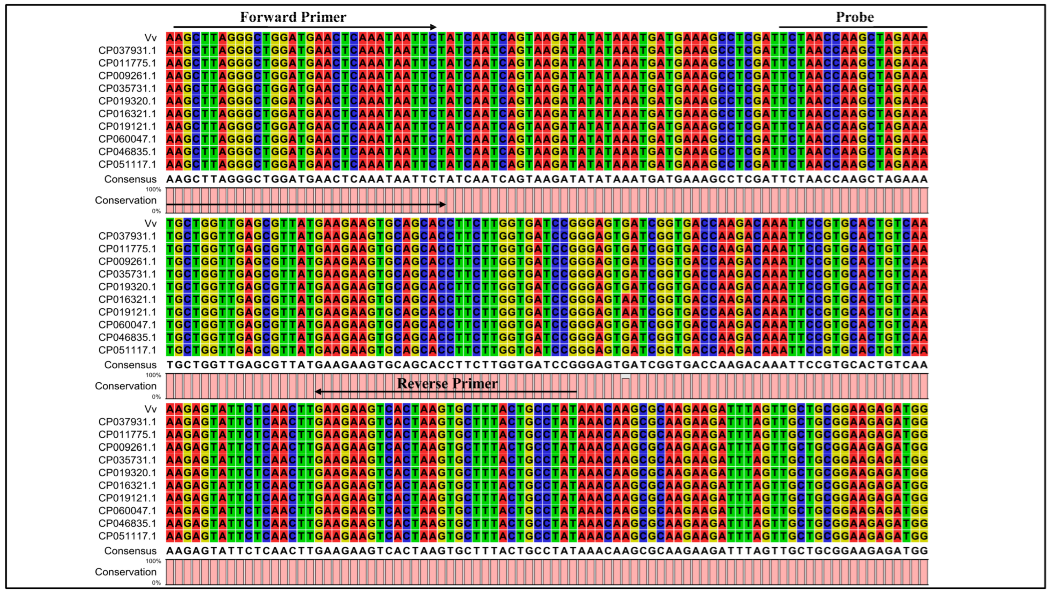 Microorganisms 14 00496 g003