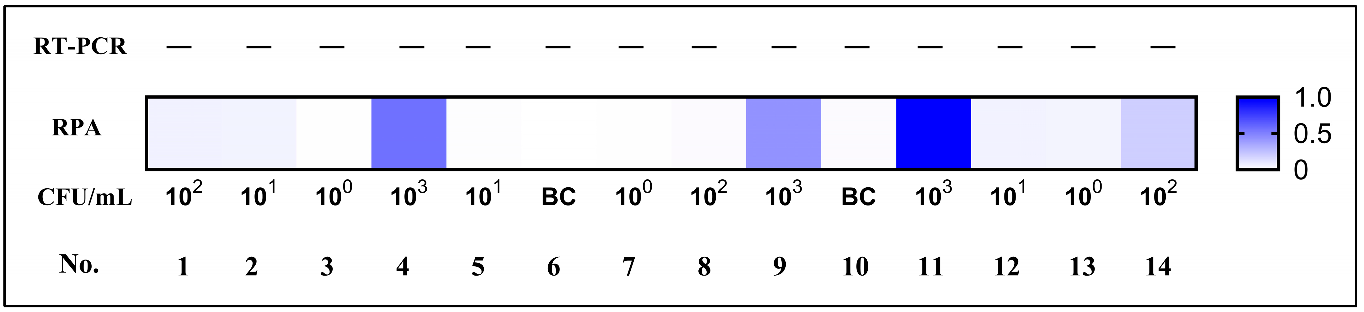 Microorganisms 14 00496 g006