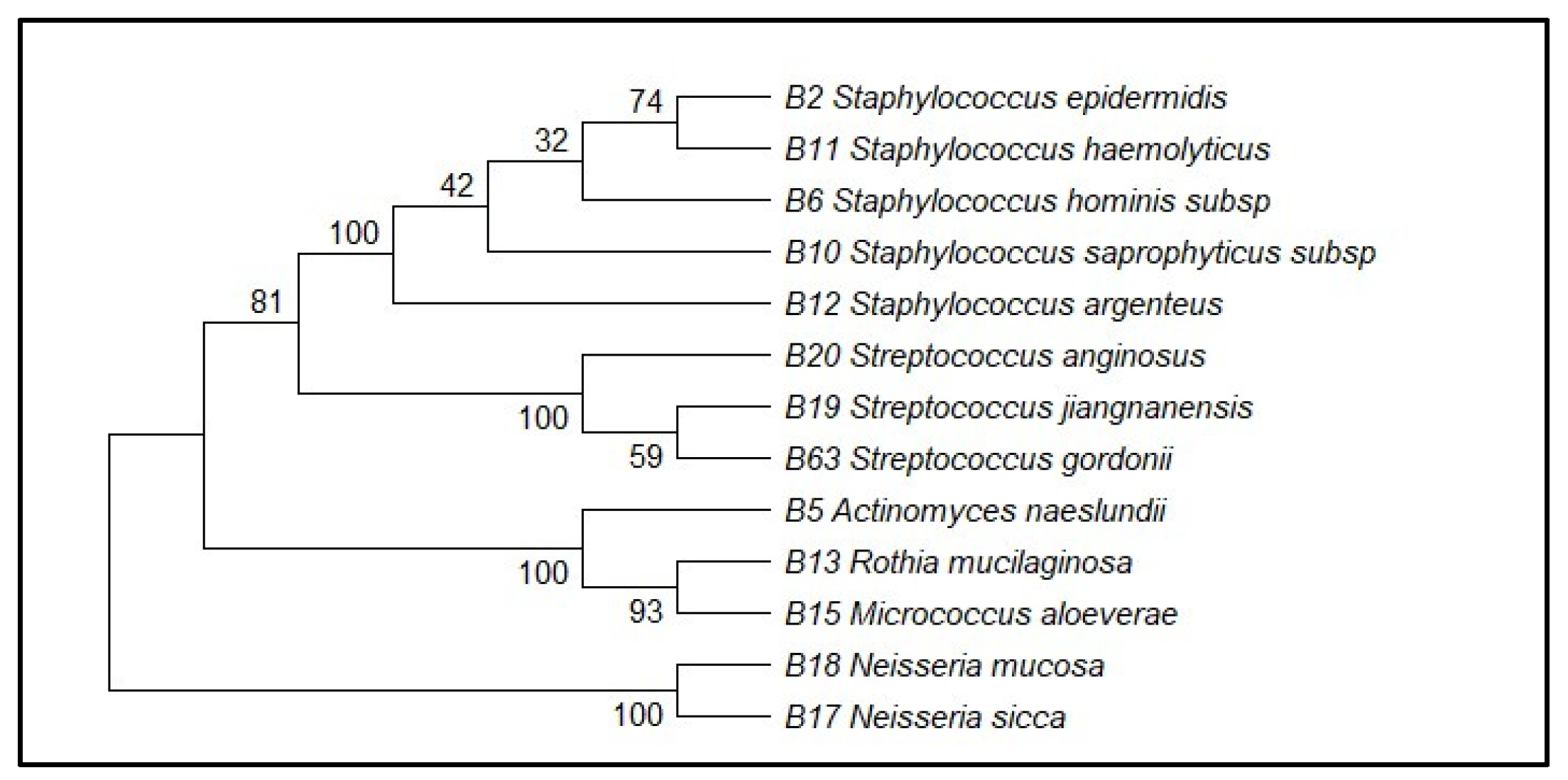 Microorganisms 14 00499 g002