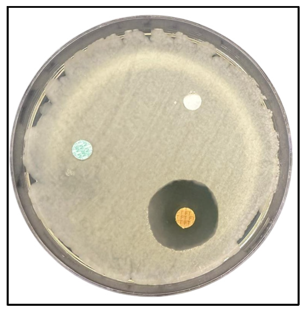 Microorganisms 14 00499 g004