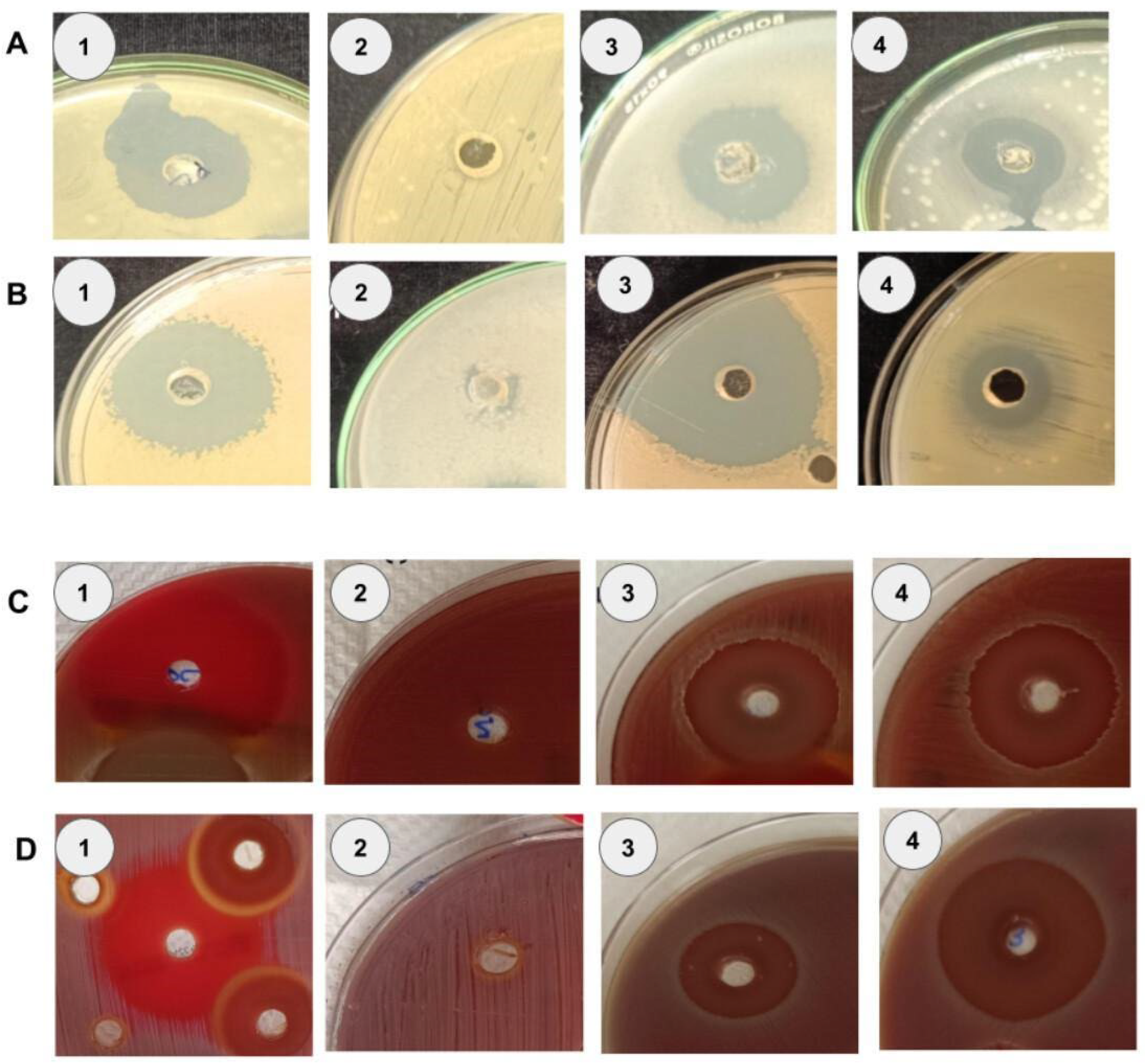 Microorganisms 14 00573 g003 Microorganisms 14 00573 g003