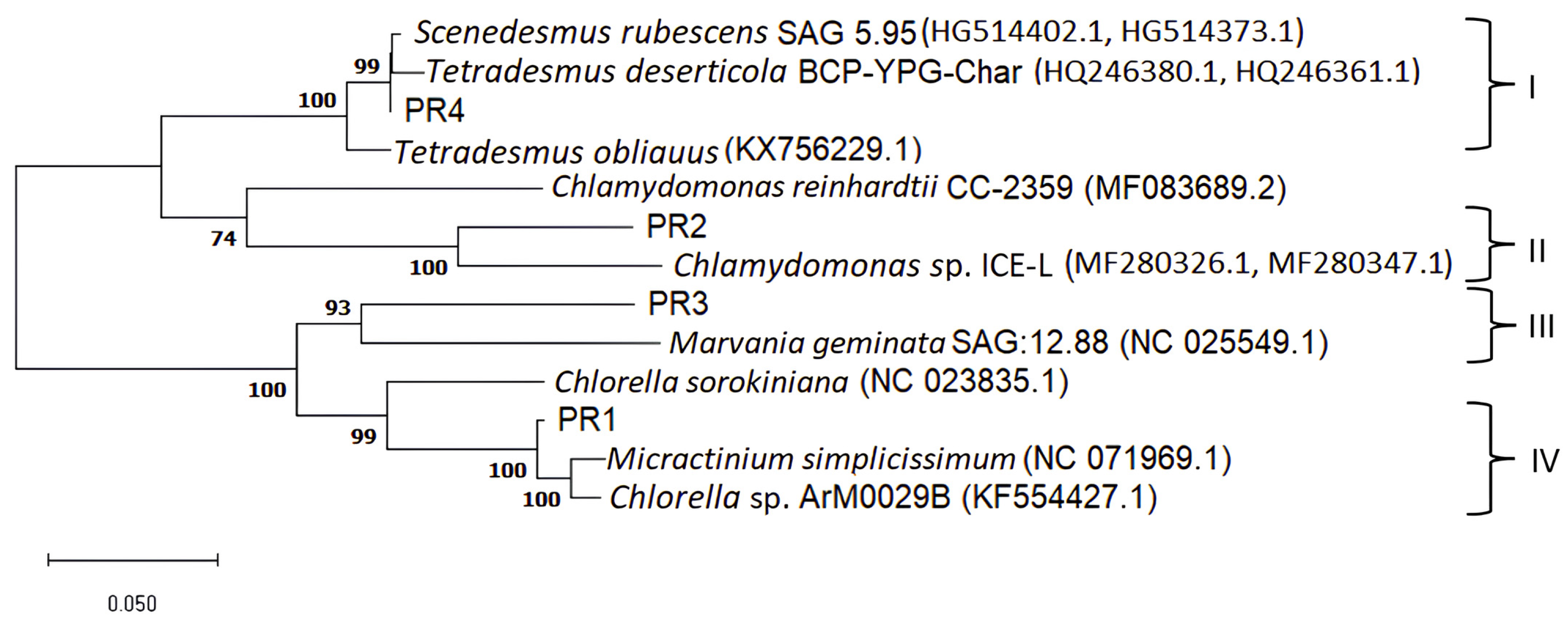 Microorganisms 14 00582 g003 Microorganisms 14 00582 g003