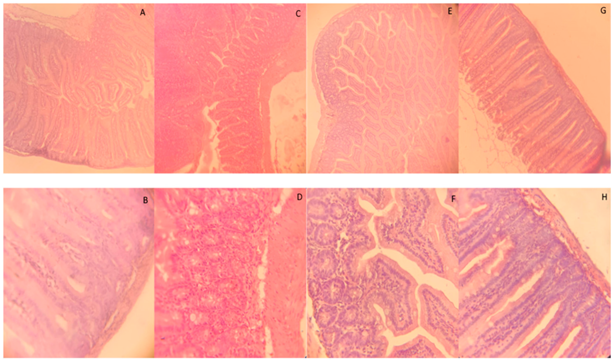 Microorganisms 14 00592 g001