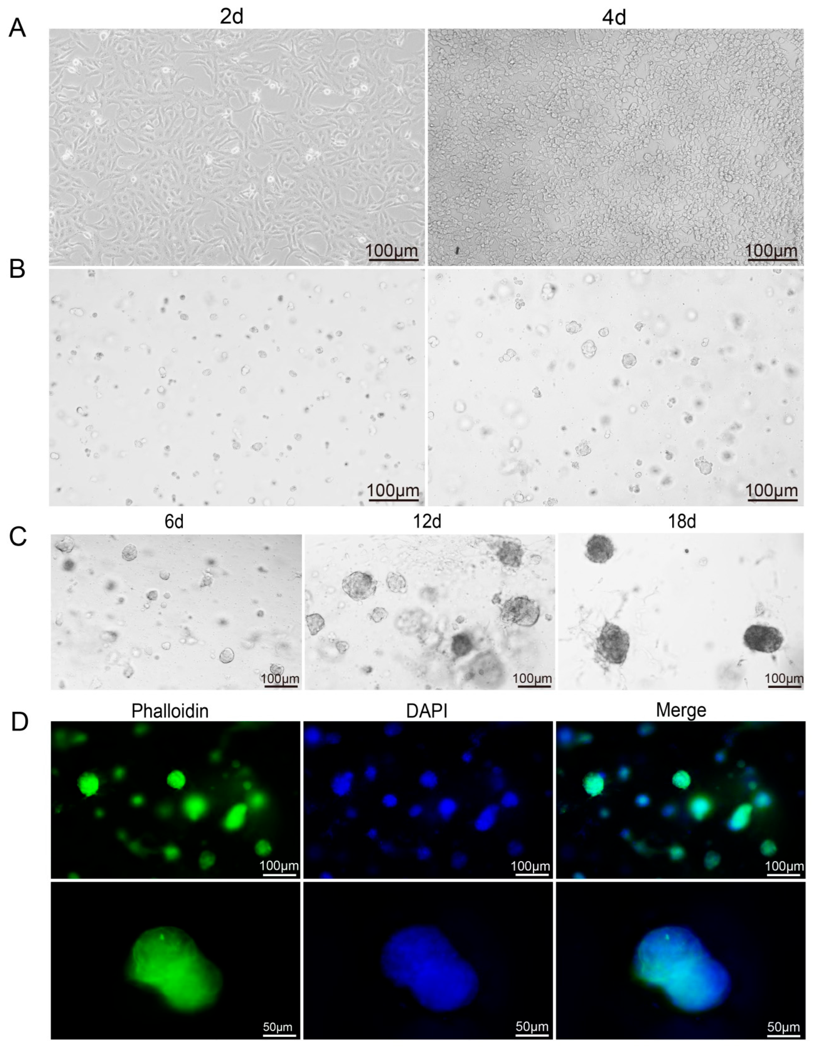 Microorganisms 14 00601 g002 Microorganisms 14 00601 g002