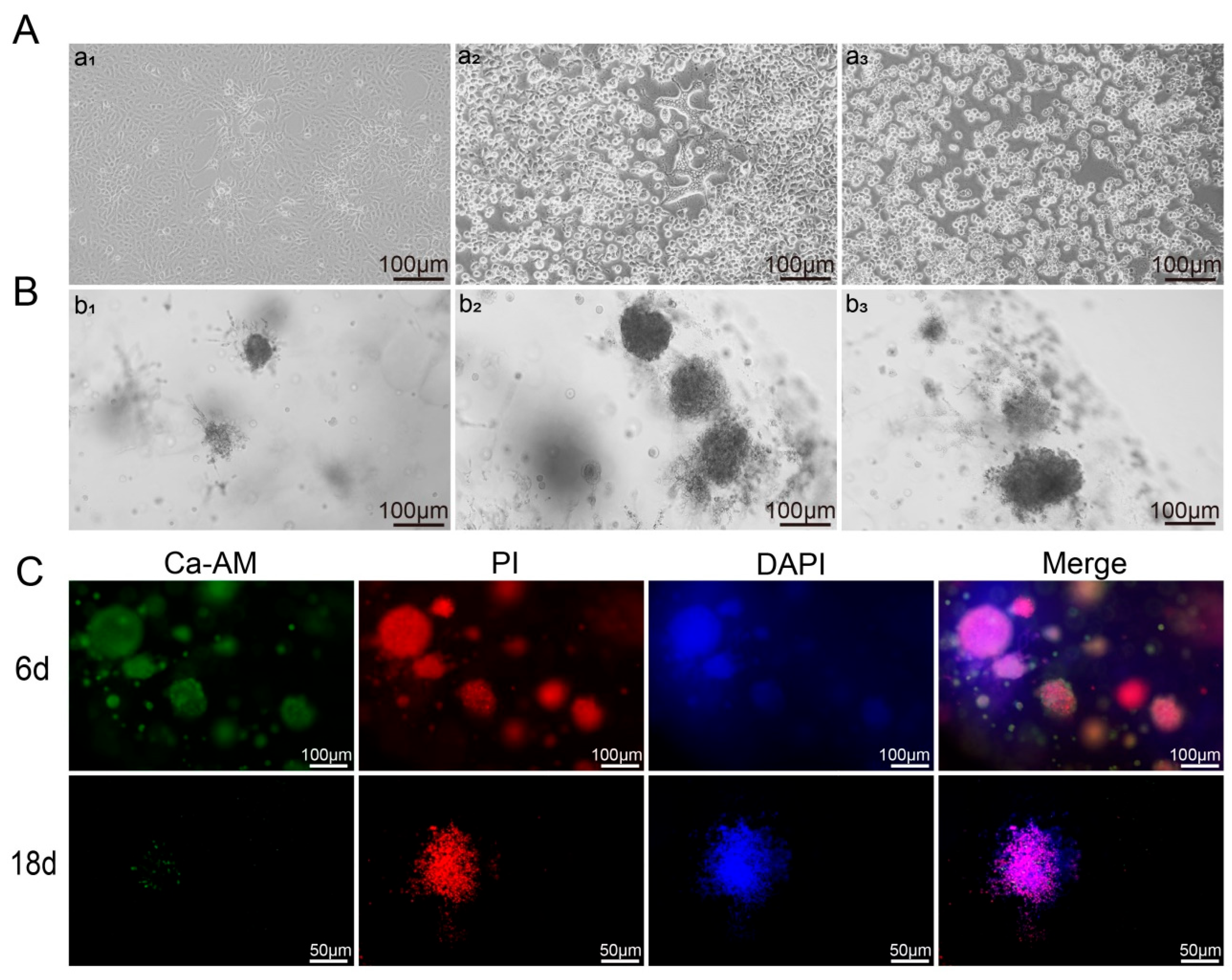 Microorganisms 14 00601 g004 Microorganisms 14 00601 g004