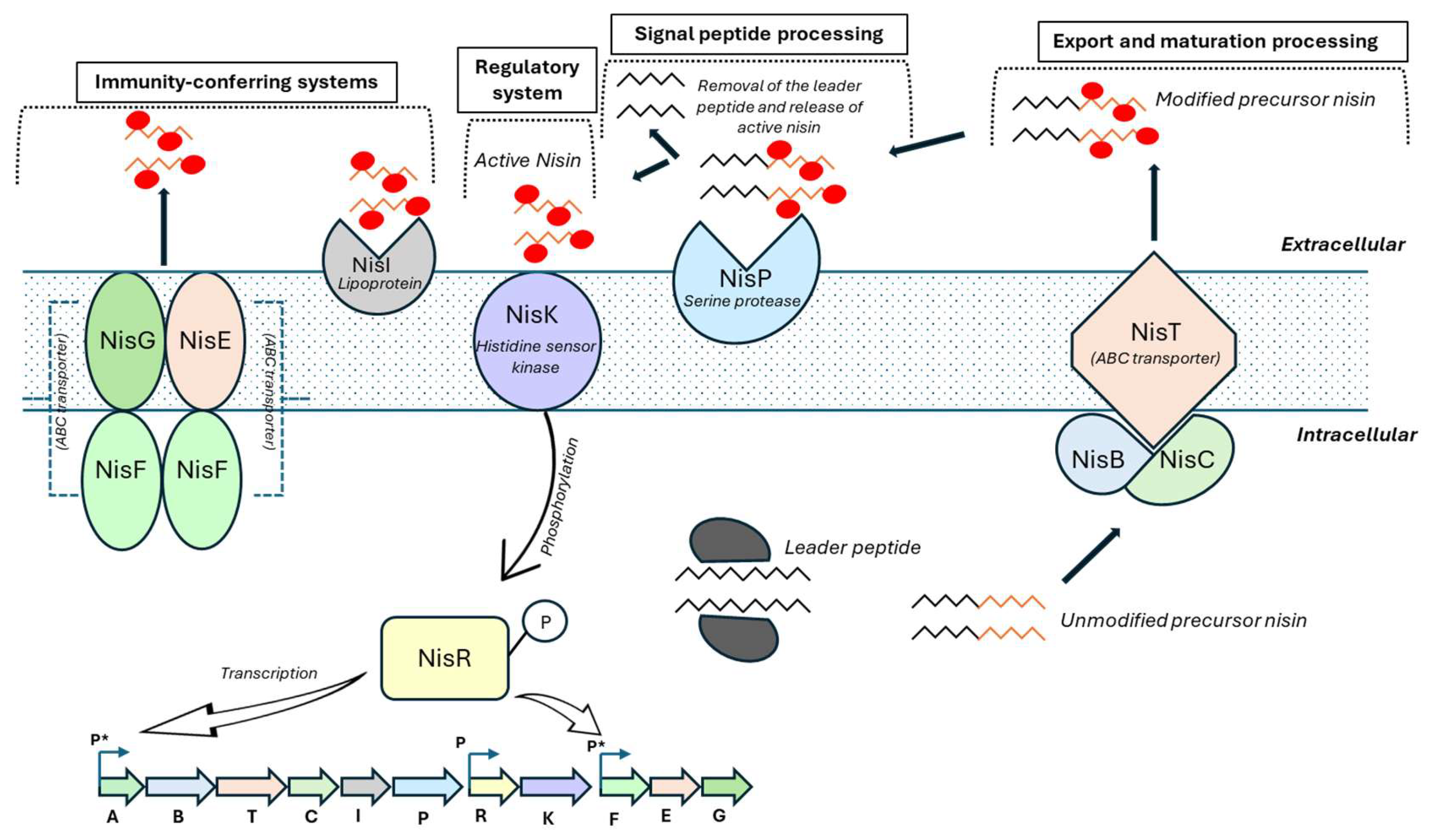 Microorganisms 14 00618 g002