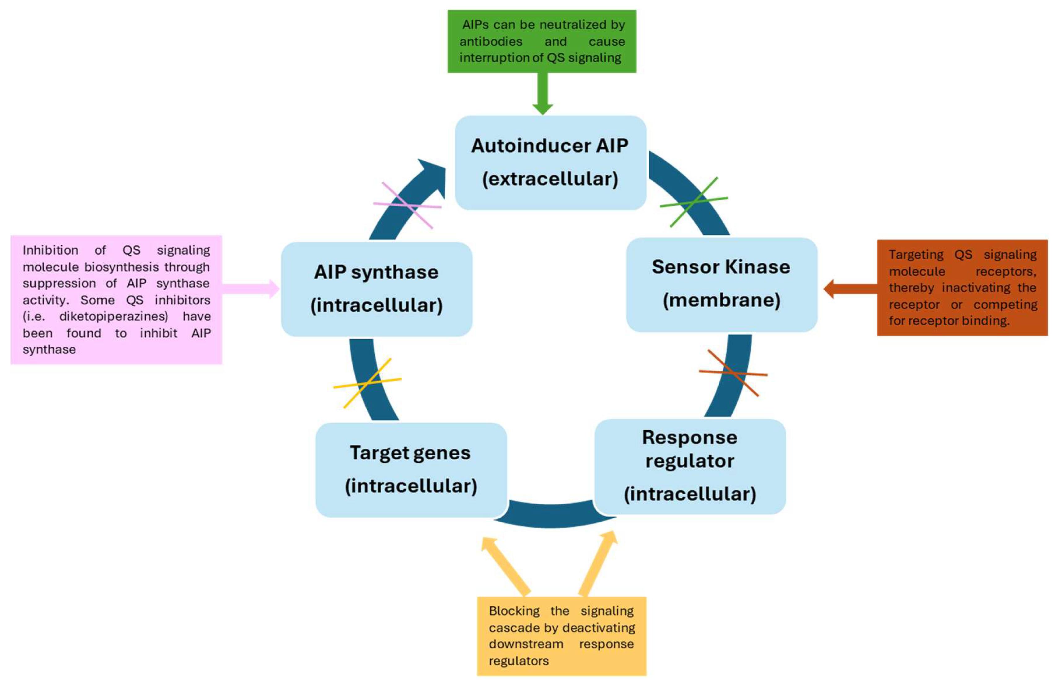 Microorganisms 14 00618 g003