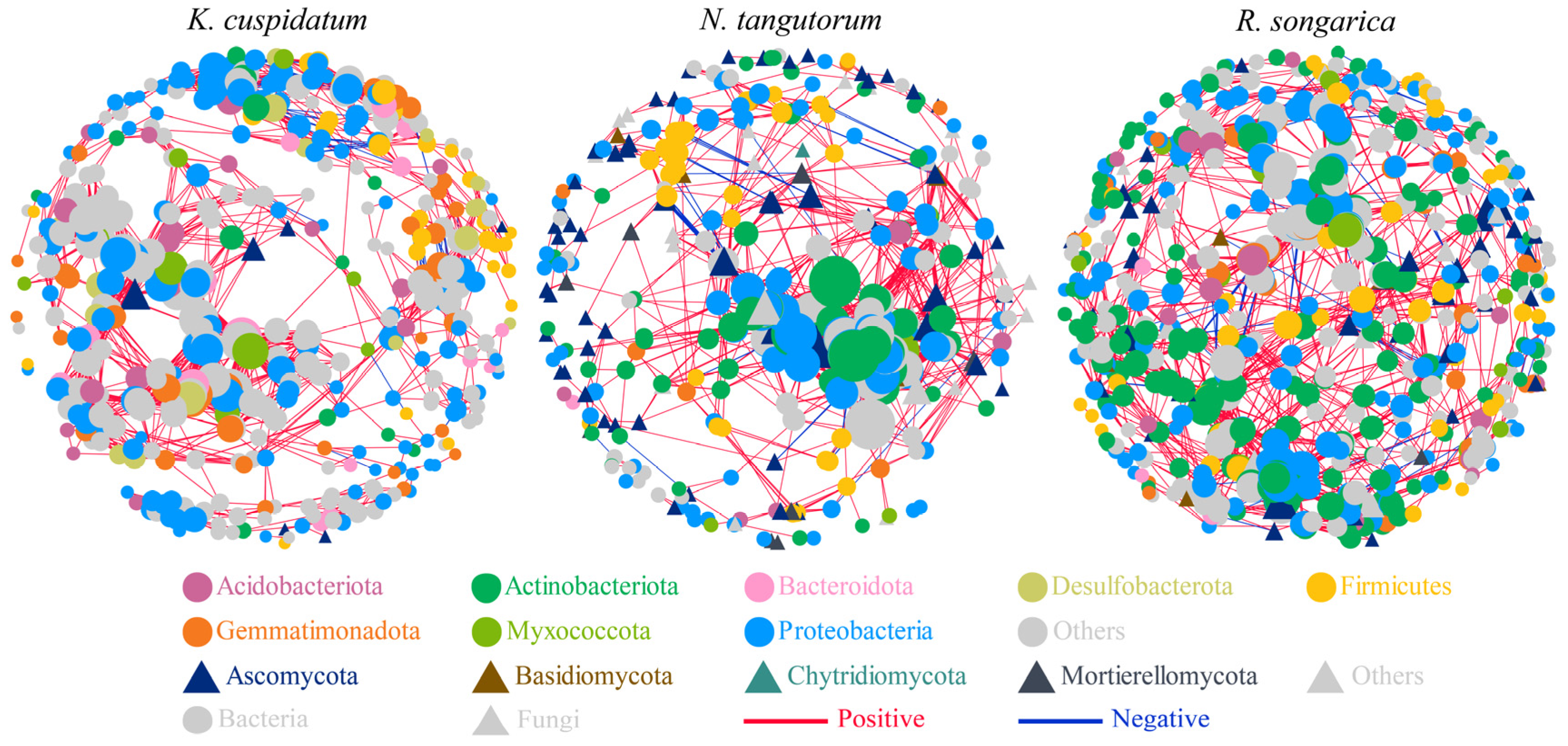 Microorganisms 14 00635 g006