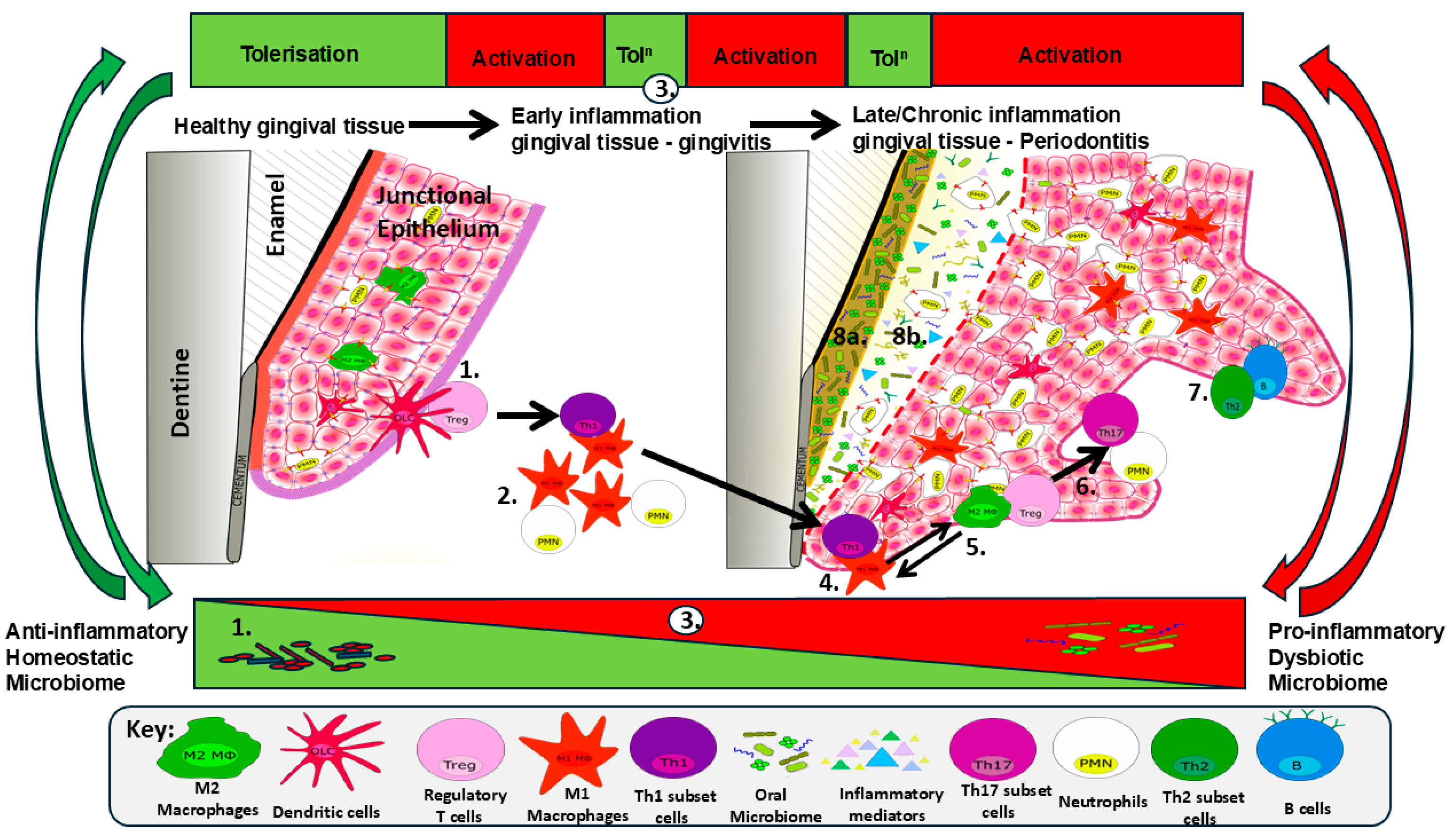 Microorganisms 14 00641 g001 Microorganisms 14 00641 g001