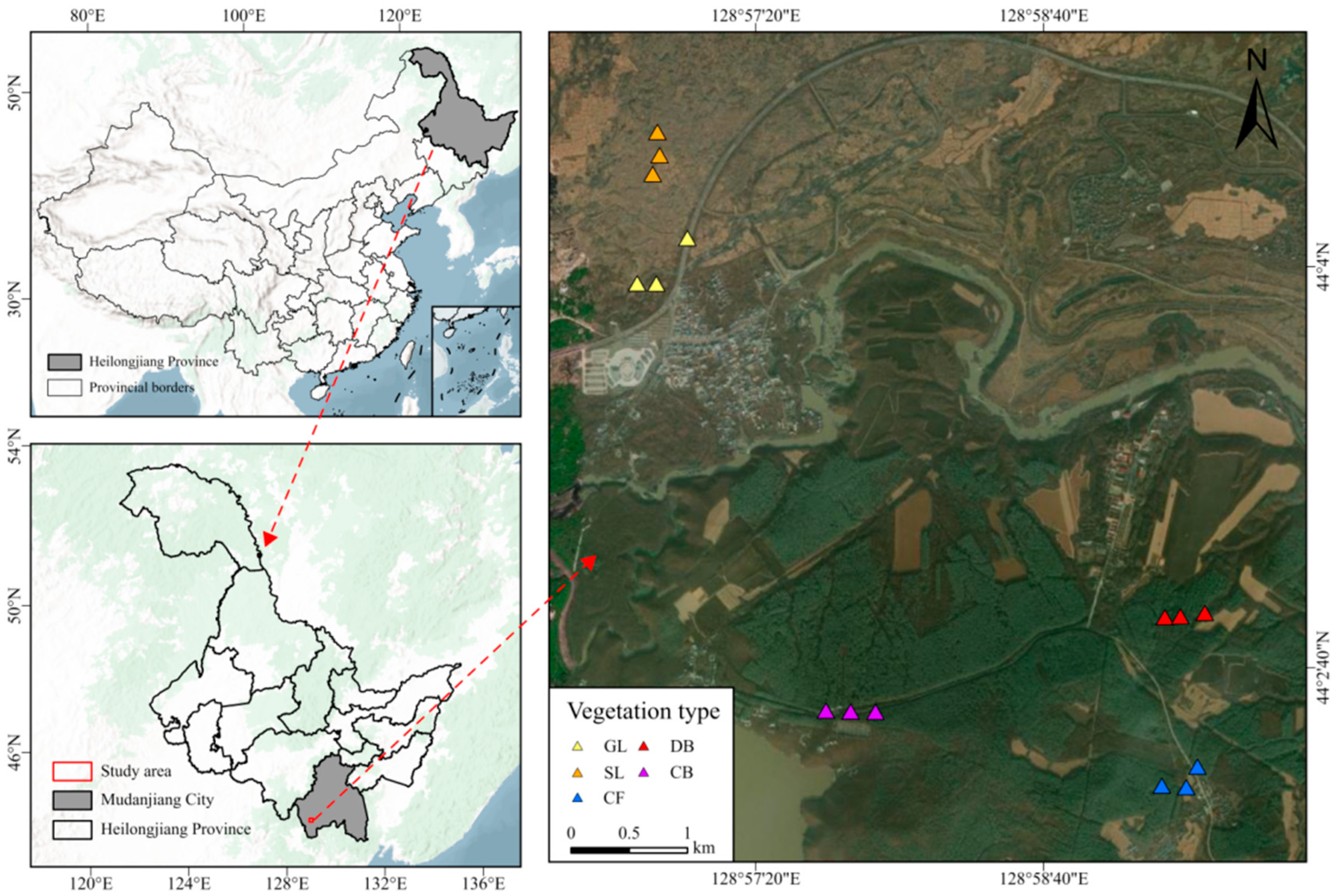 Microorganisms 14 00642 g001