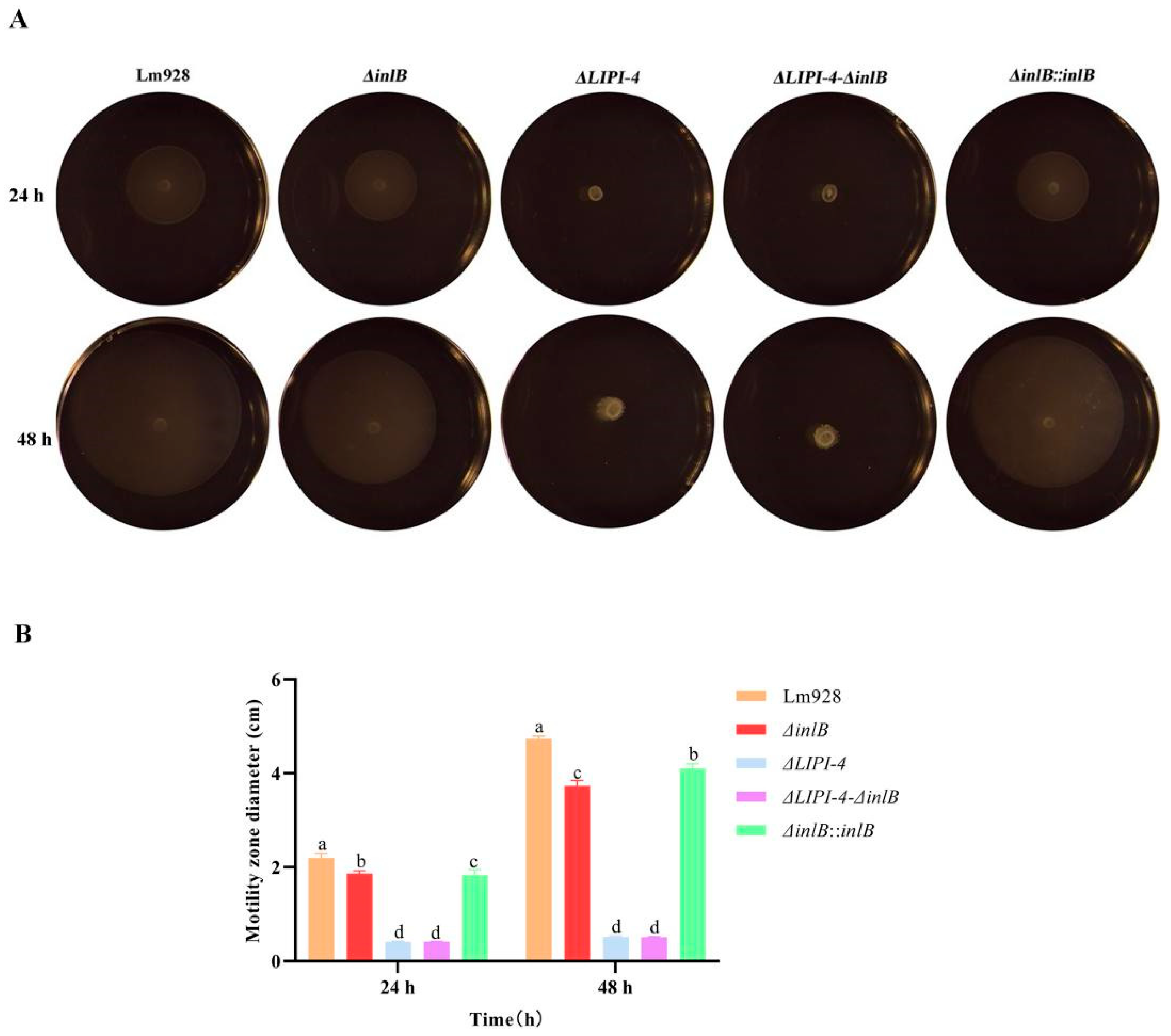 Microorganisms 14 00645 g004