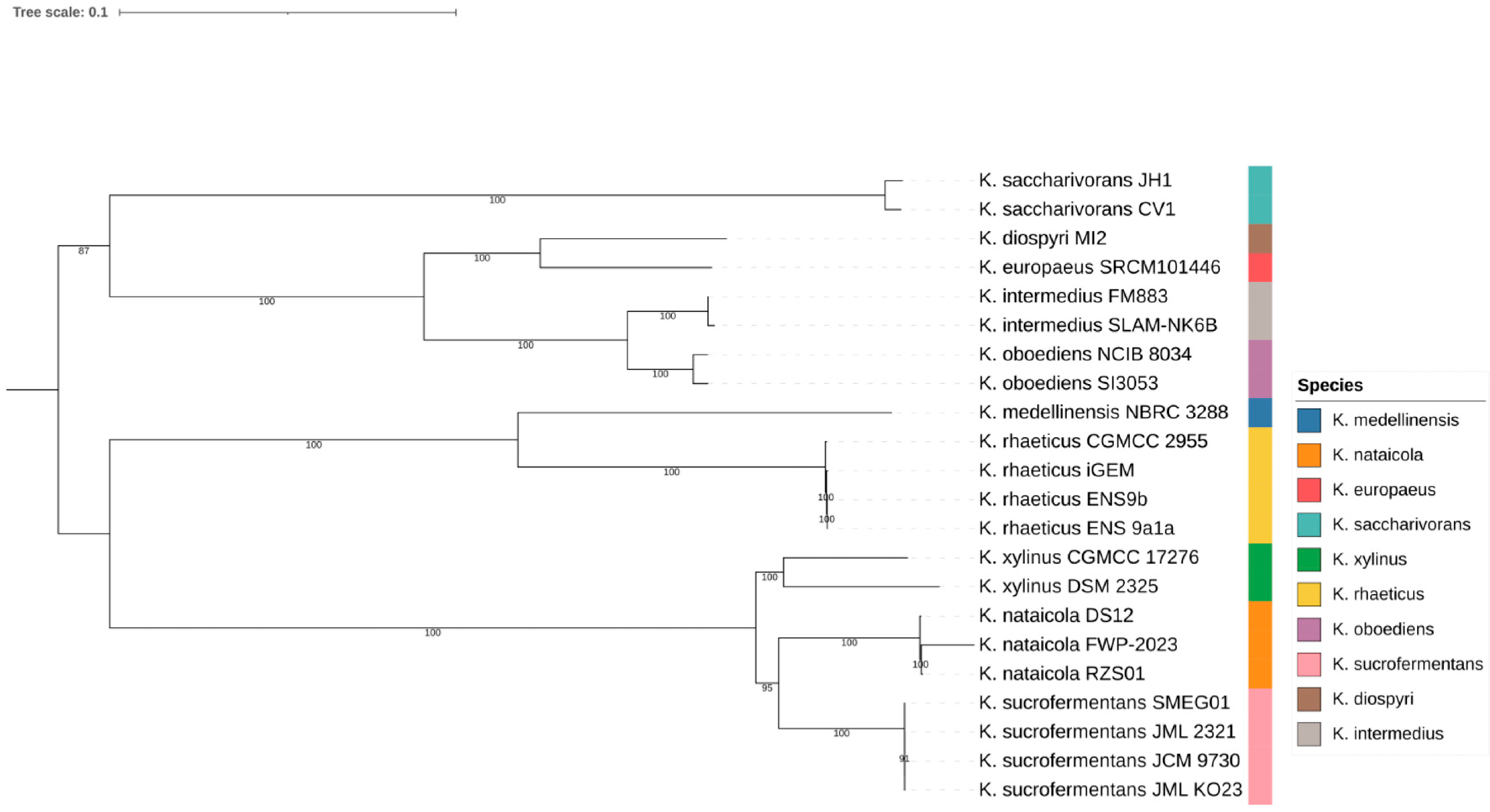 Microorganisms 14 00653 g001