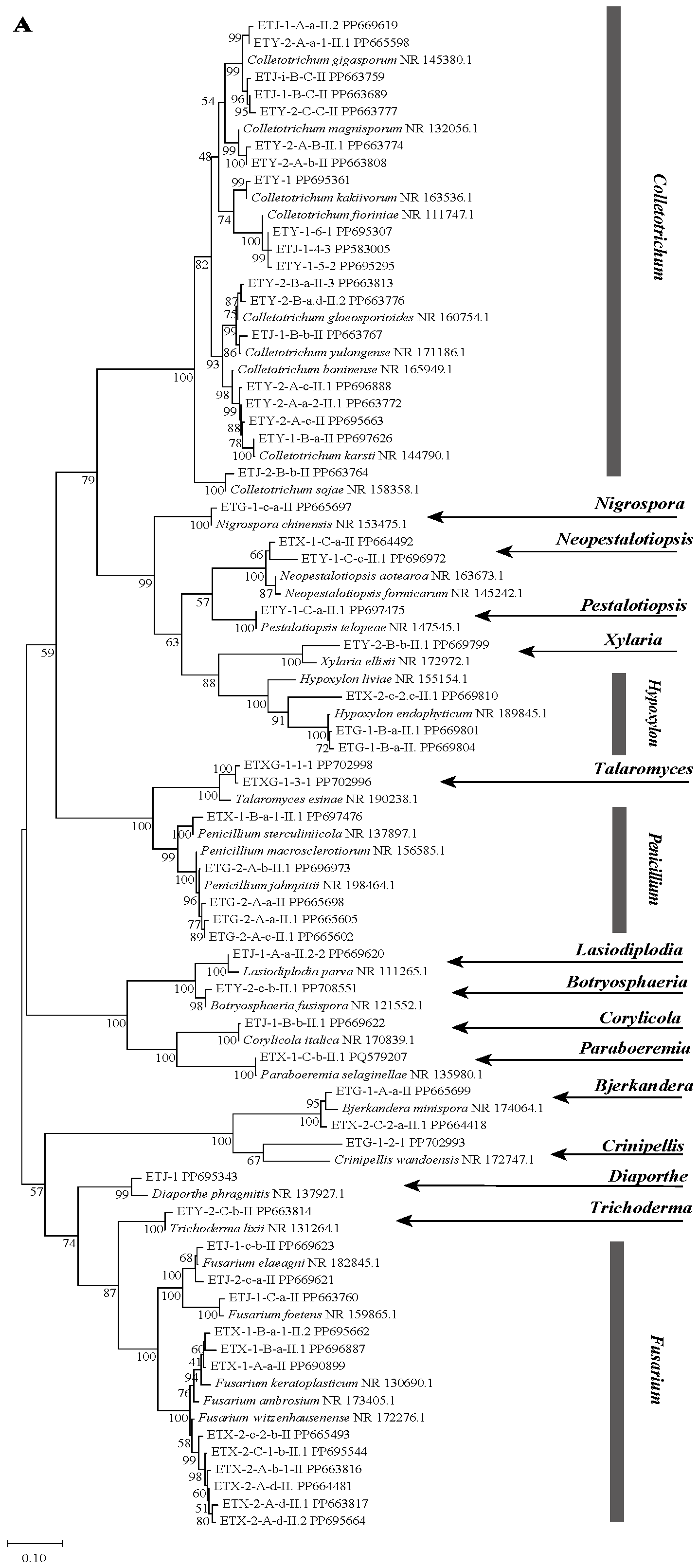Microorganisms 14 00664 g001a