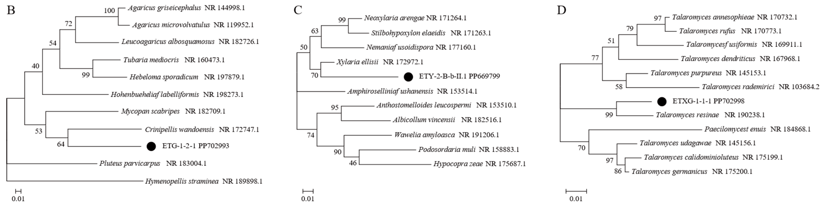 Microorganisms 14 00664 g001b