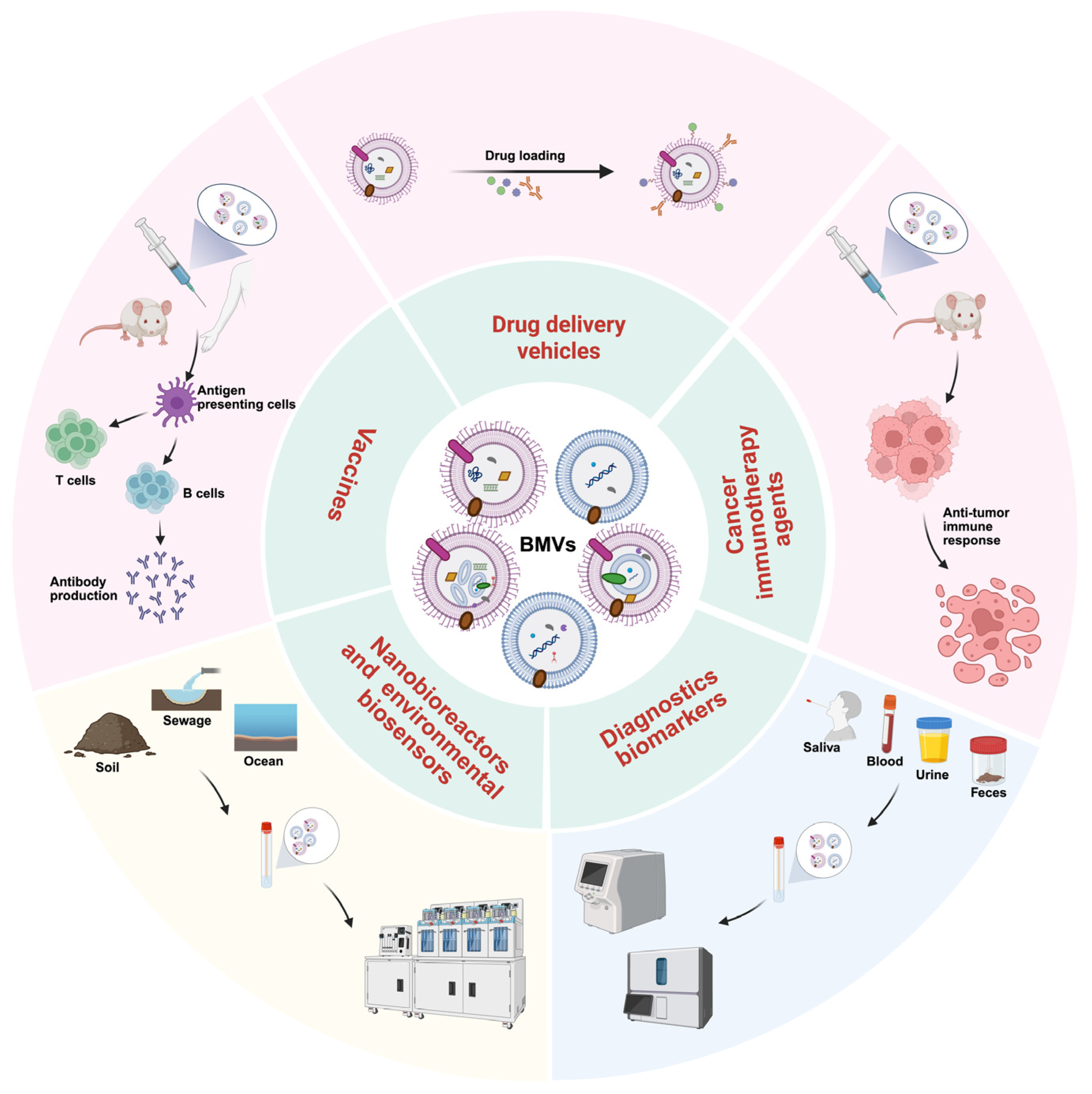 Microorganisms 14 00689 g004