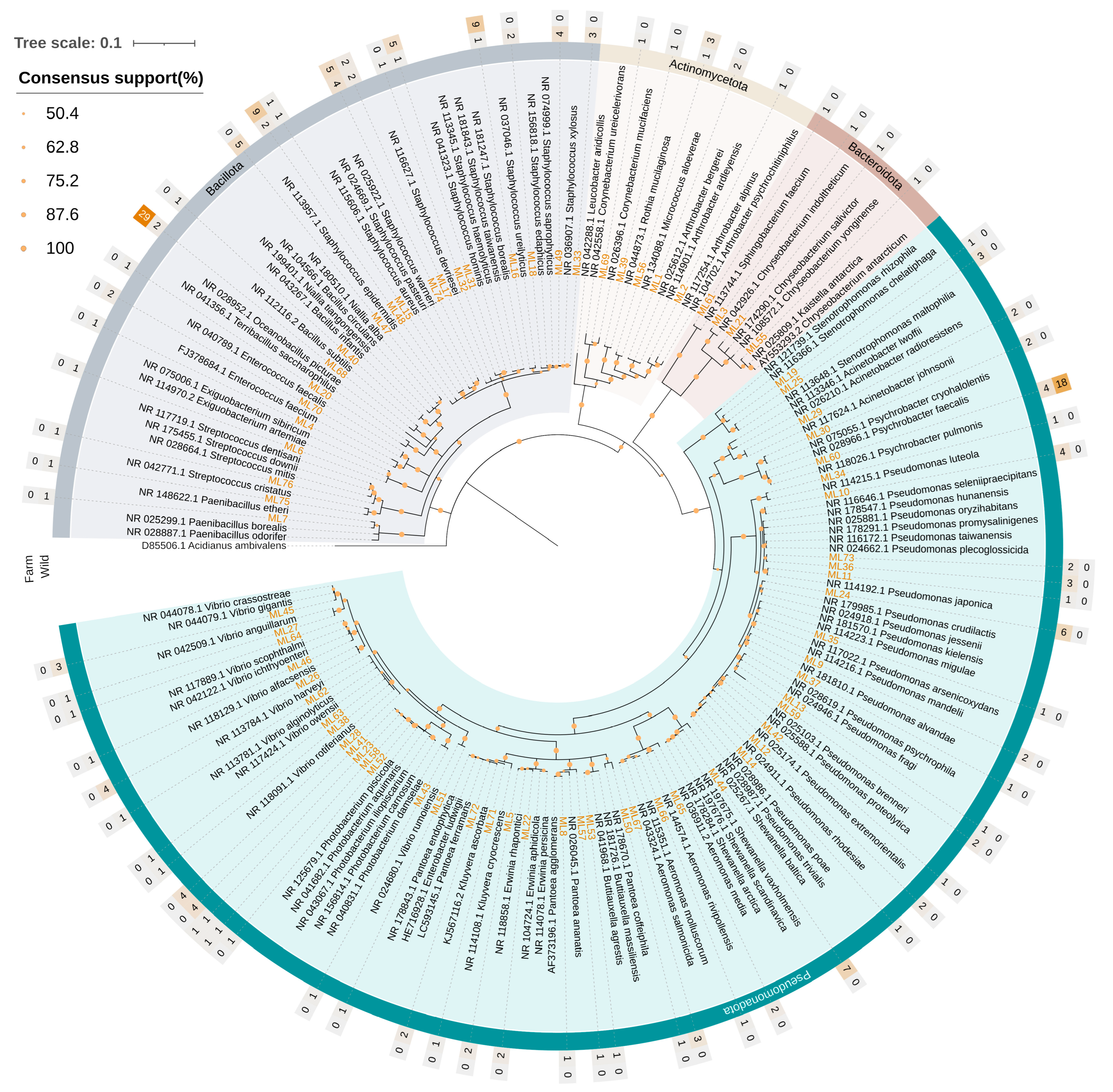 Microorganisms 14 00708 g006