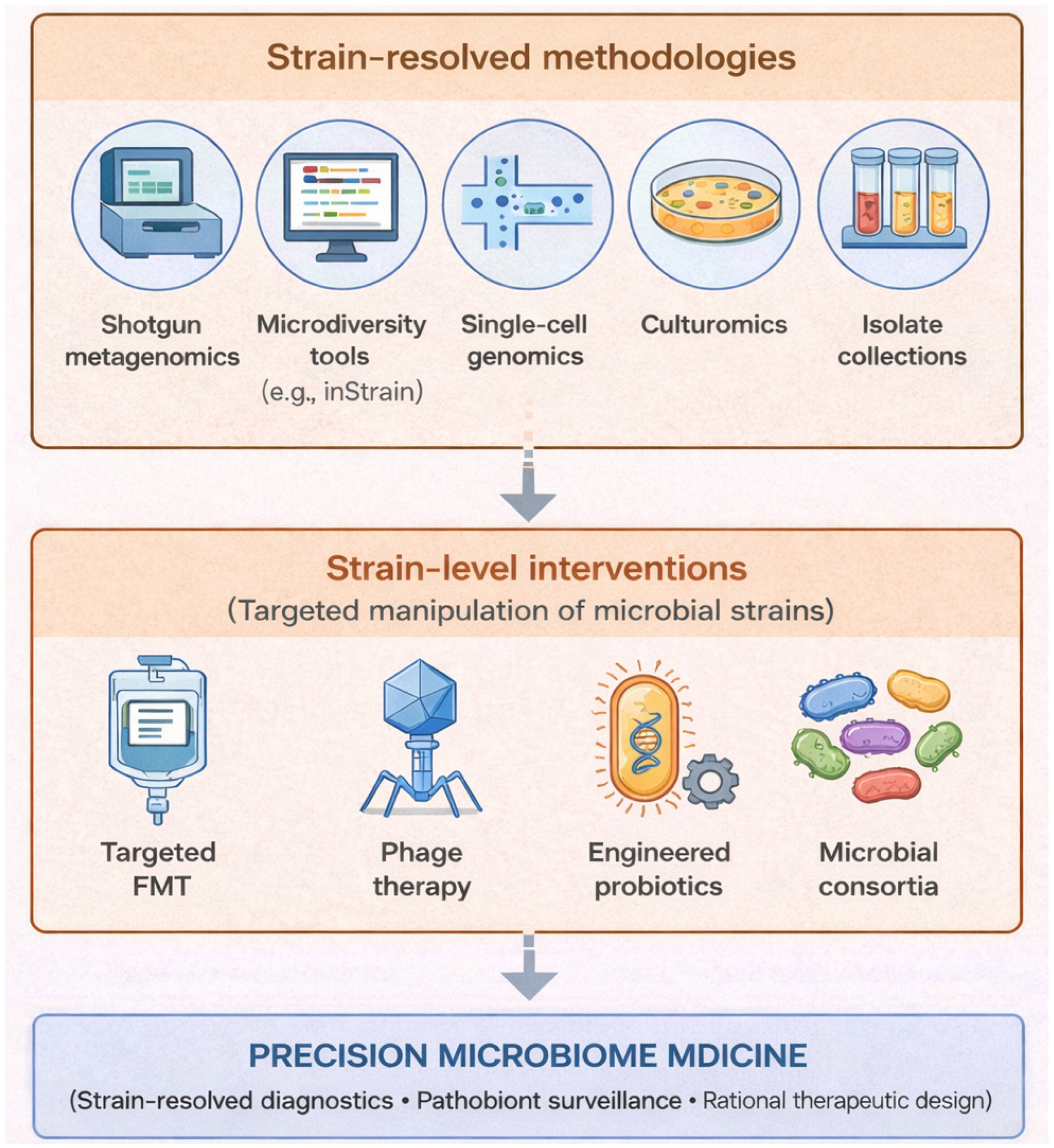 Microorganisms 14 00720 g004 Microorganisms 14 00720 g004