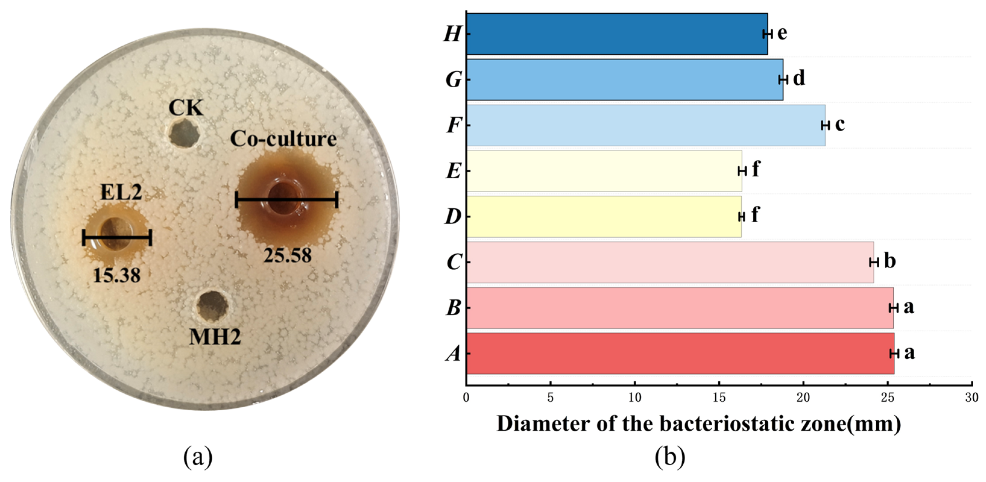 Microorganisms 14 00730 g002