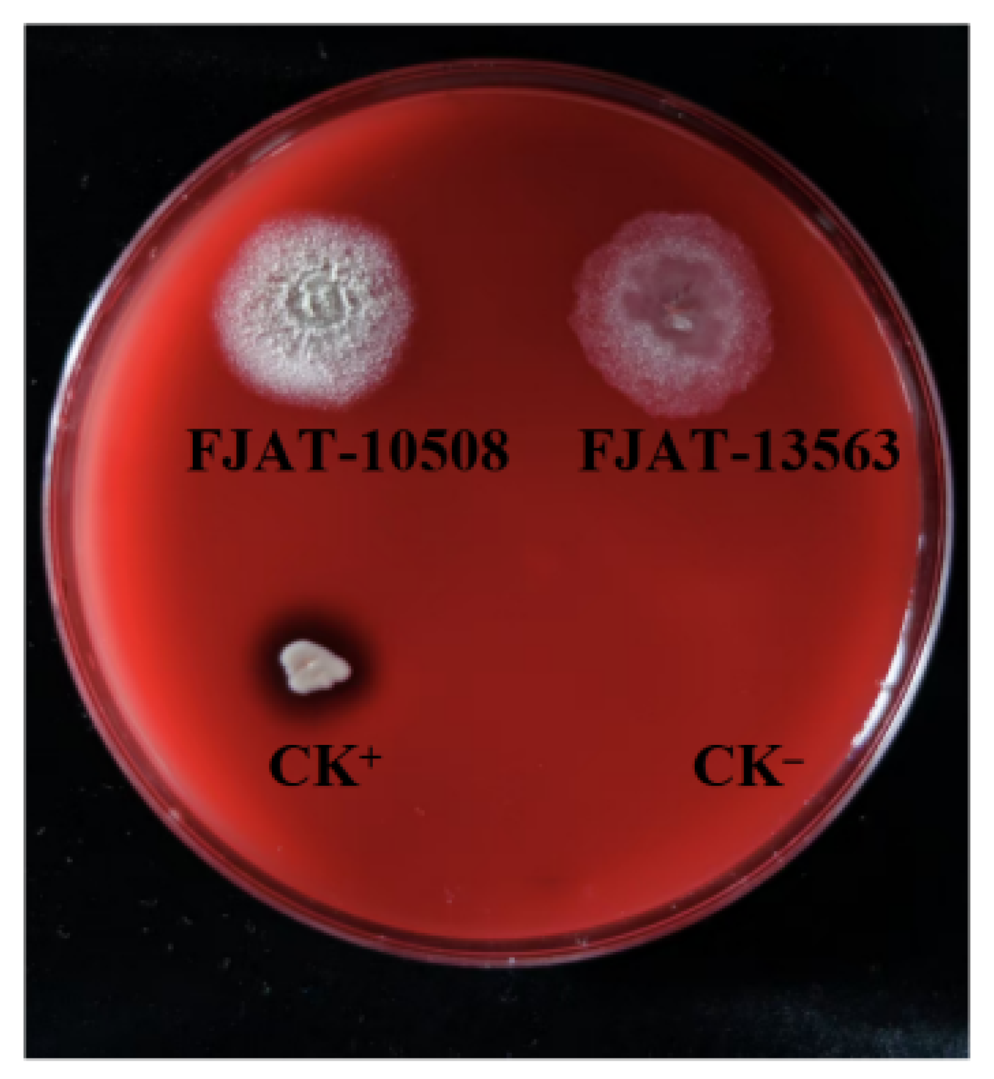 Microorganisms 14 00834 g007