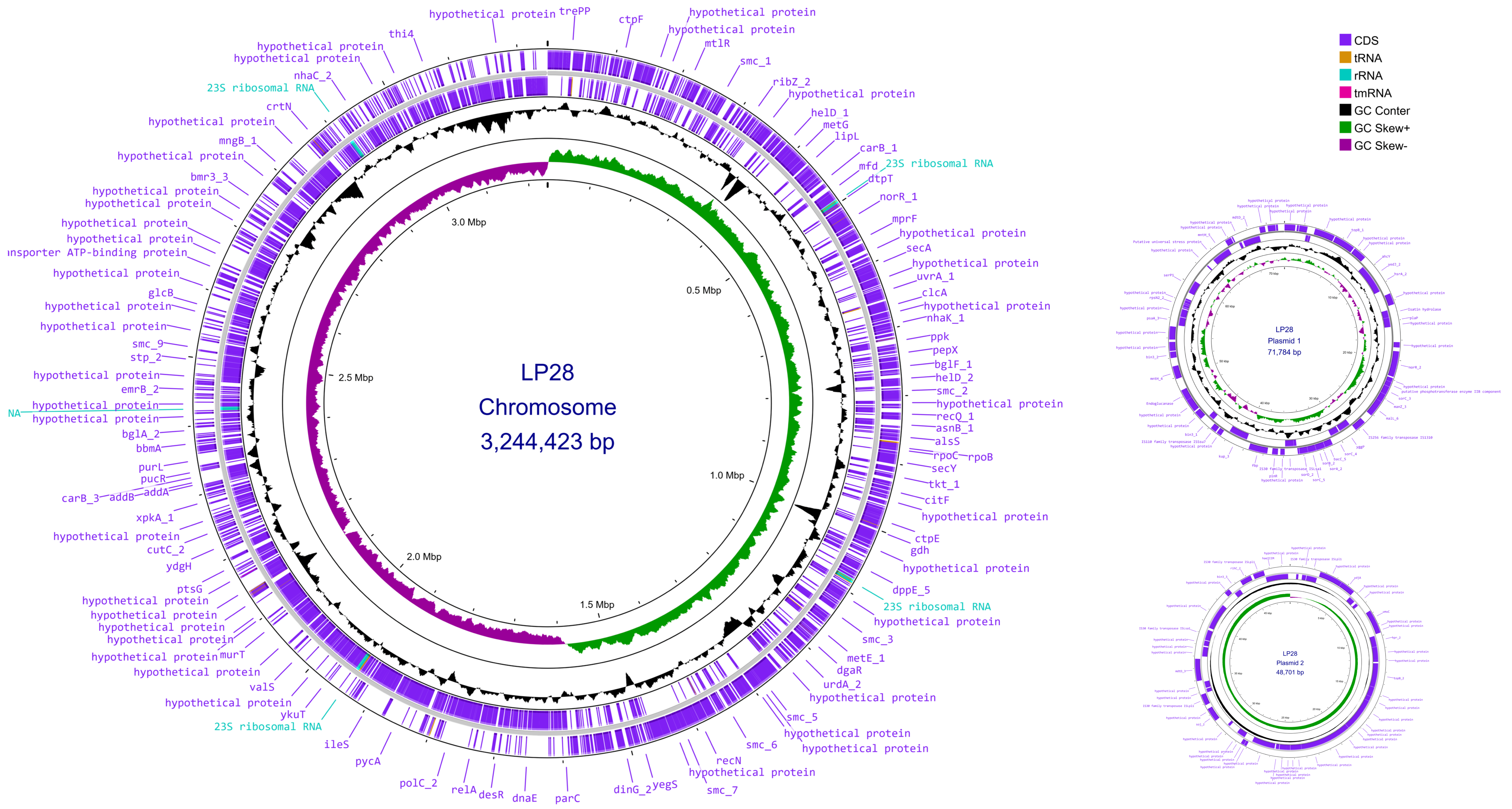 Microorganisms 14 00843 g001