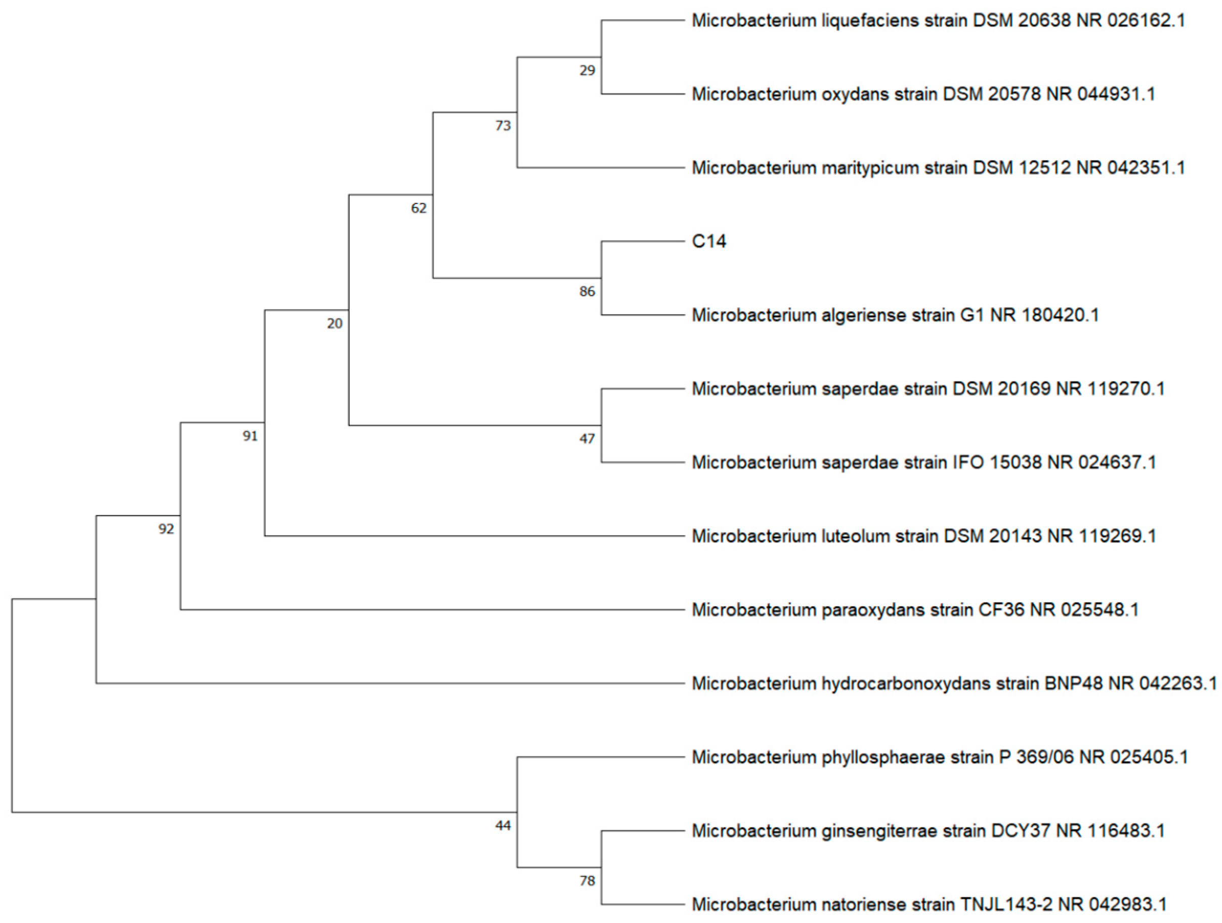 Microorganisms 14 00875 g002 Microorganisms 14 00875 g002