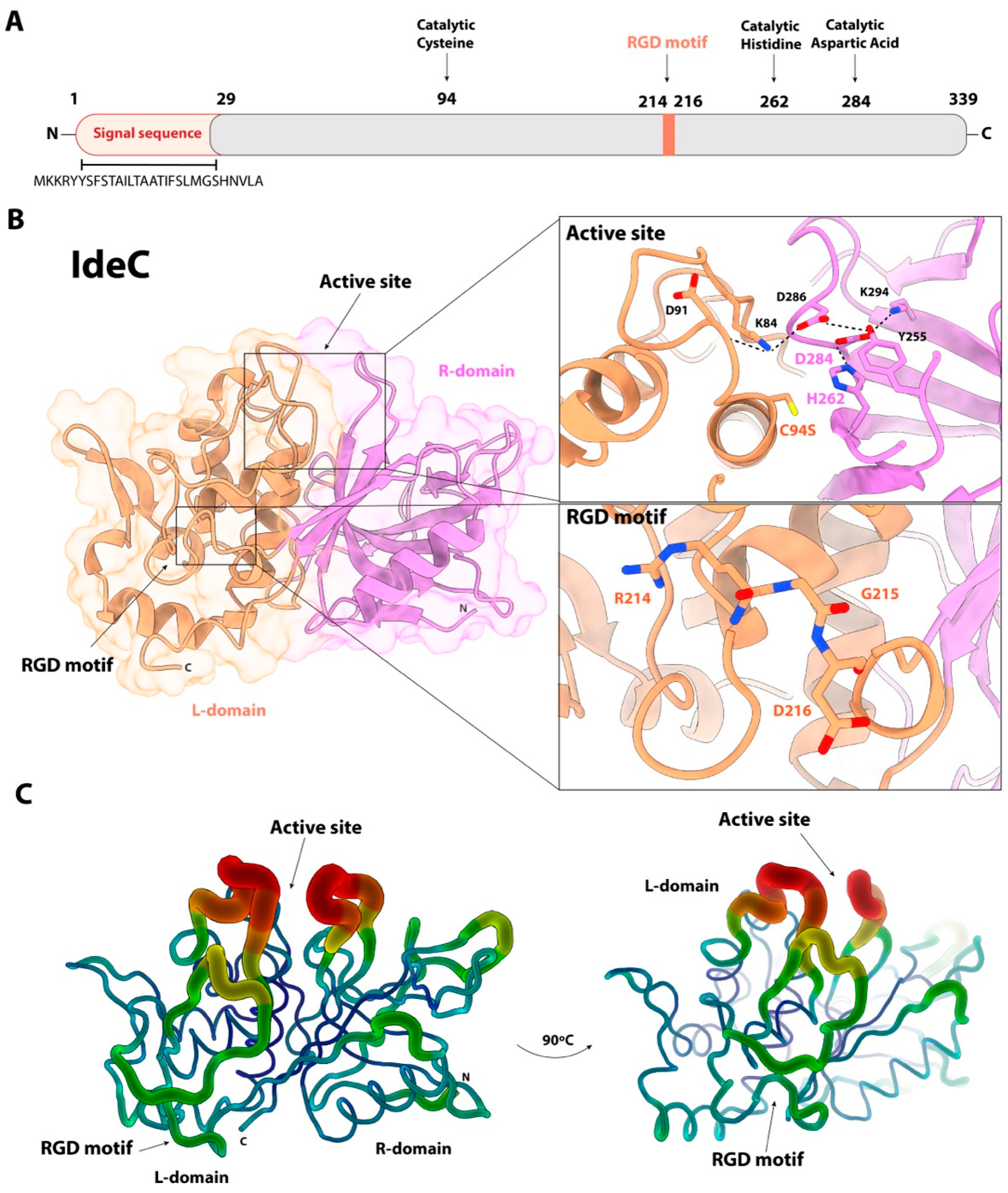 Microorganisms 14 00919 g001