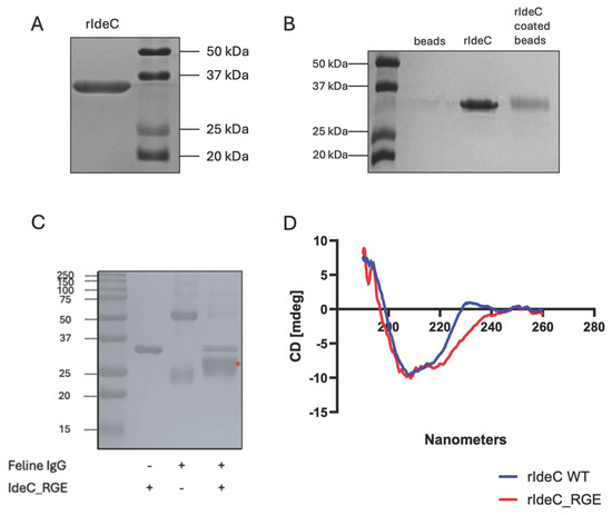 Microorganisms 14 00919 g003
