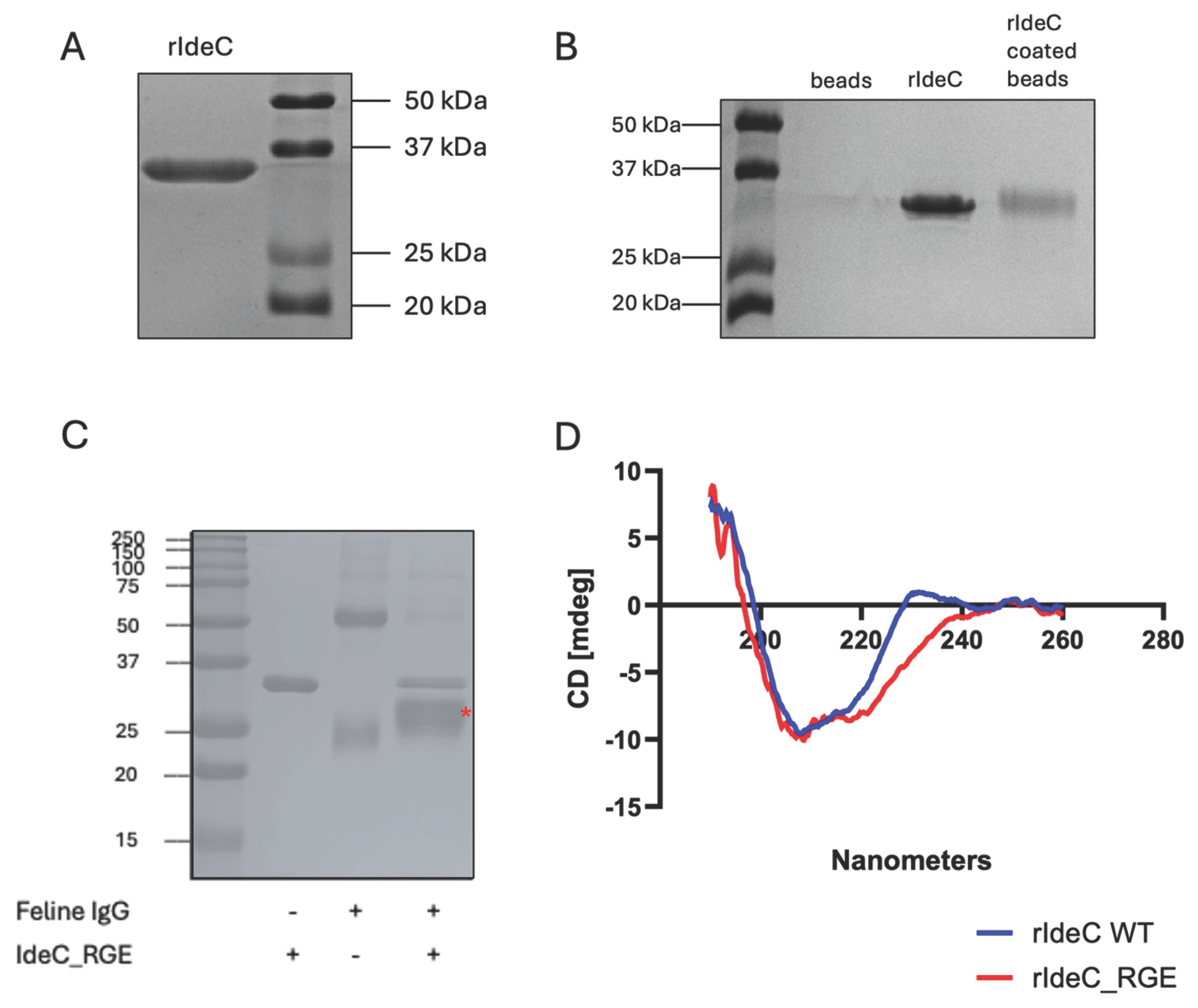 Microorganisms 14 00919 g003