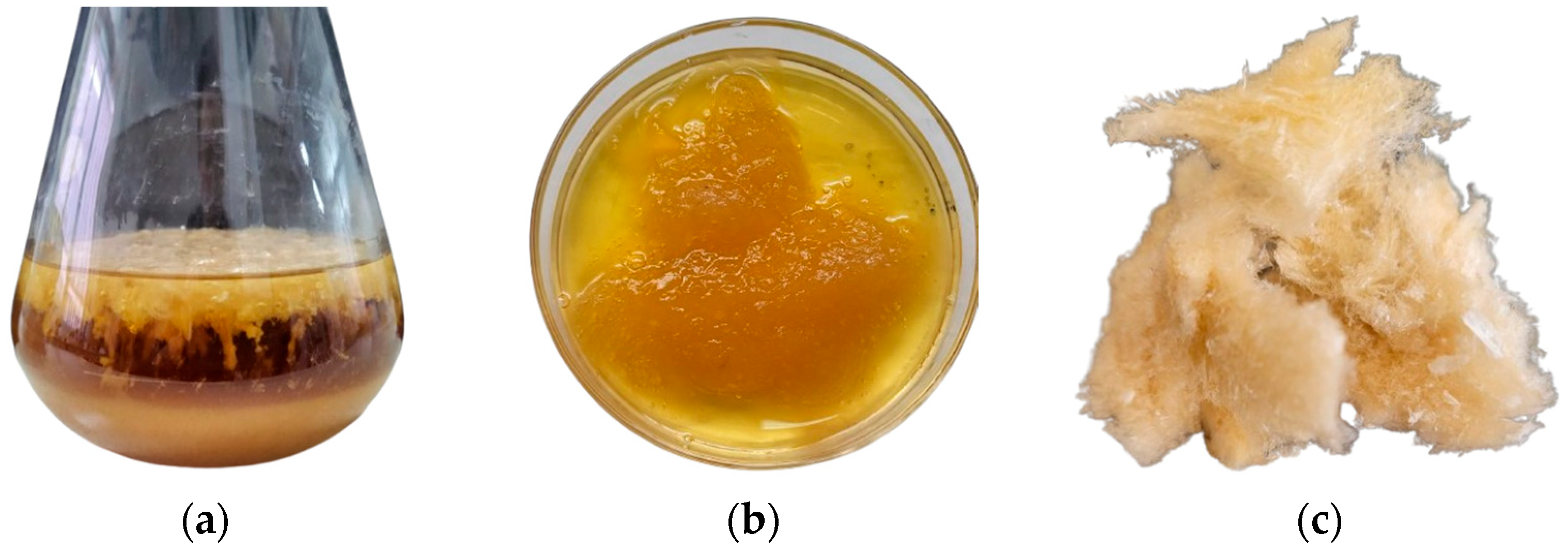 Microorganisms 14 00937 g002