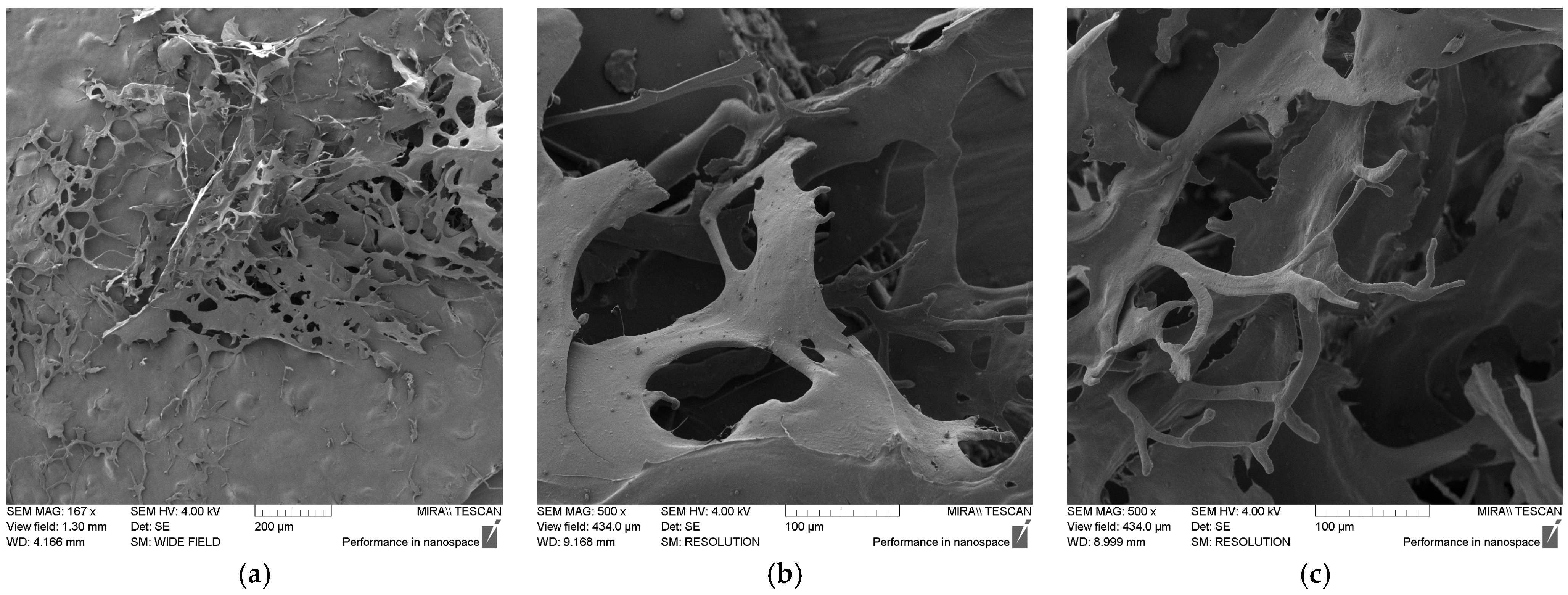 Microorganisms 14 00937 g006