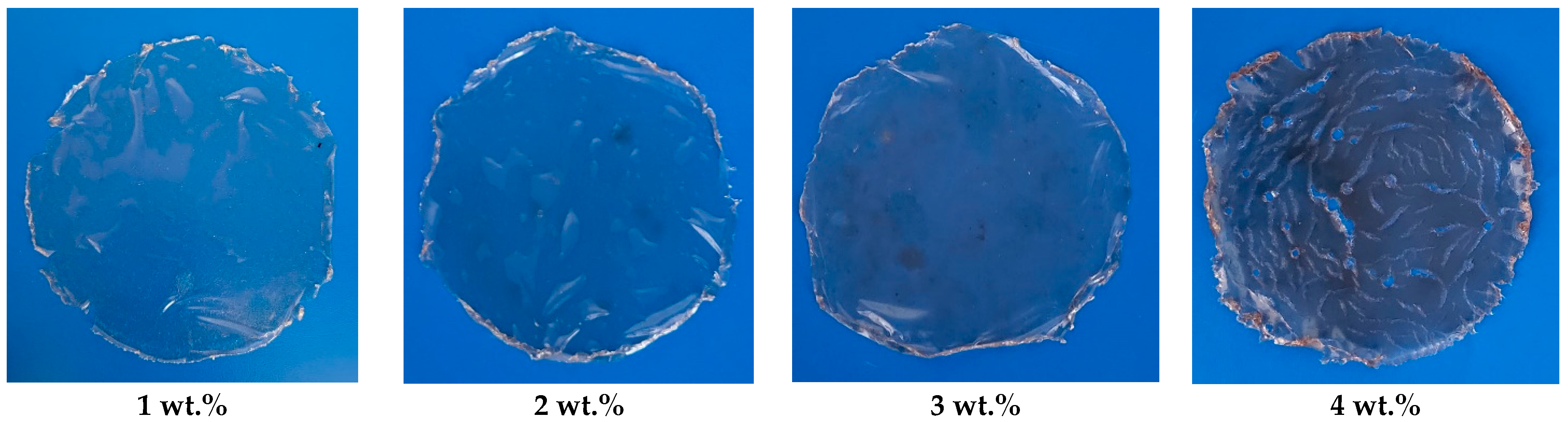 Microorganisms 14 00937 g010
