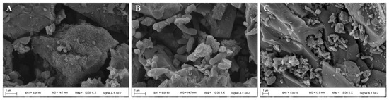 Microorganisms 14 01384 g009a Microorganisms 14 01384 g009a
